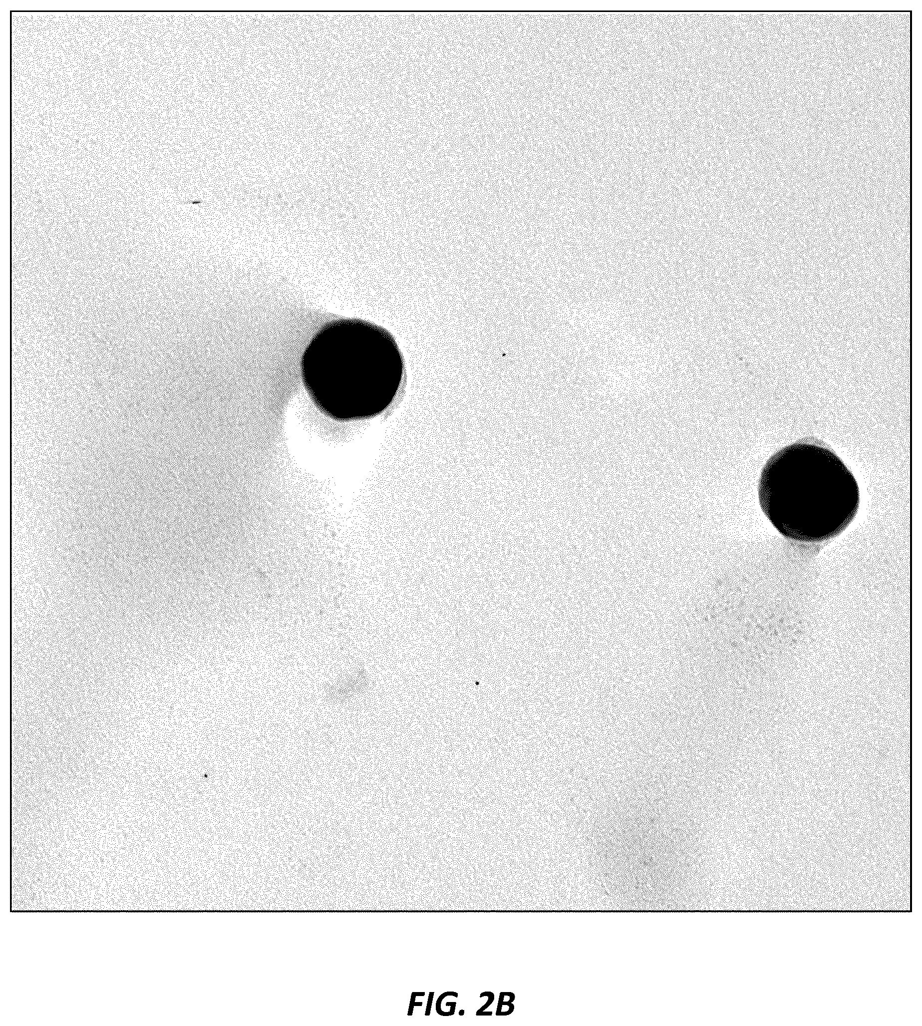 Patent US12610952 Figure 6 – Antimicrobial compositions and methods