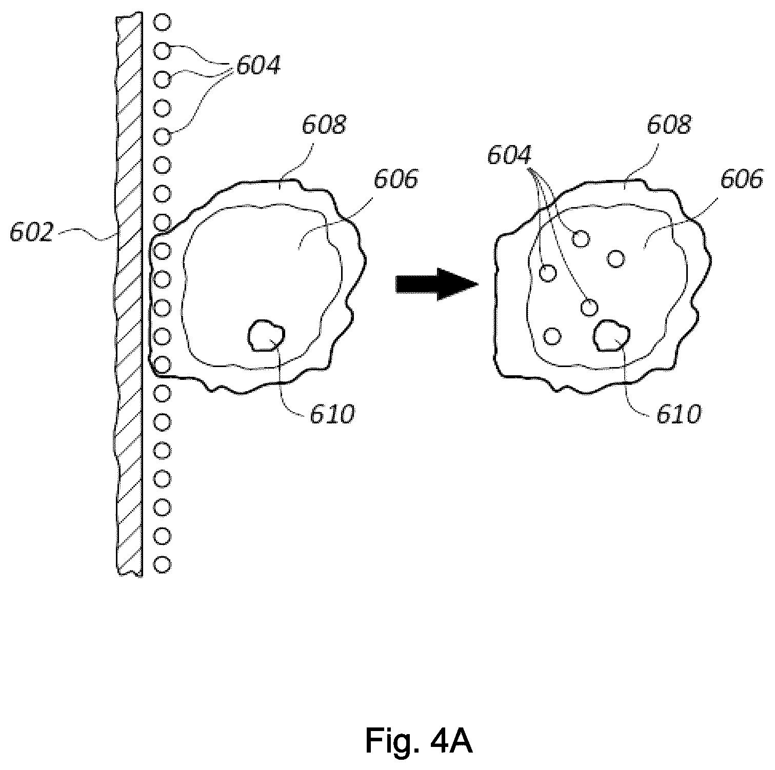 Patent US12610952 Figure 9 – Antimicrobial compositions and methods