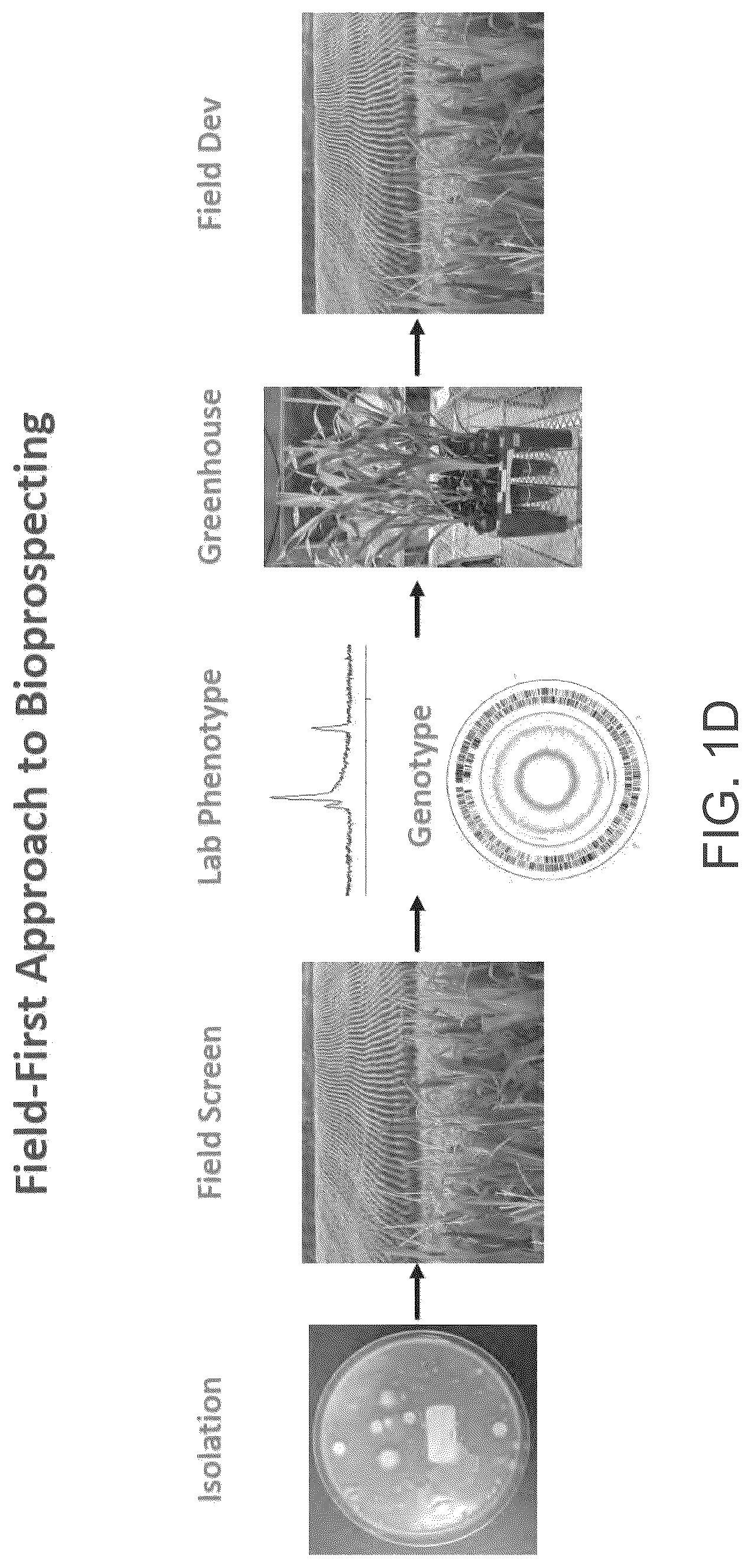 Patent US12610956 Figure 5 – Agricultural compositions comprising remodeled nitrogen fixing microbes