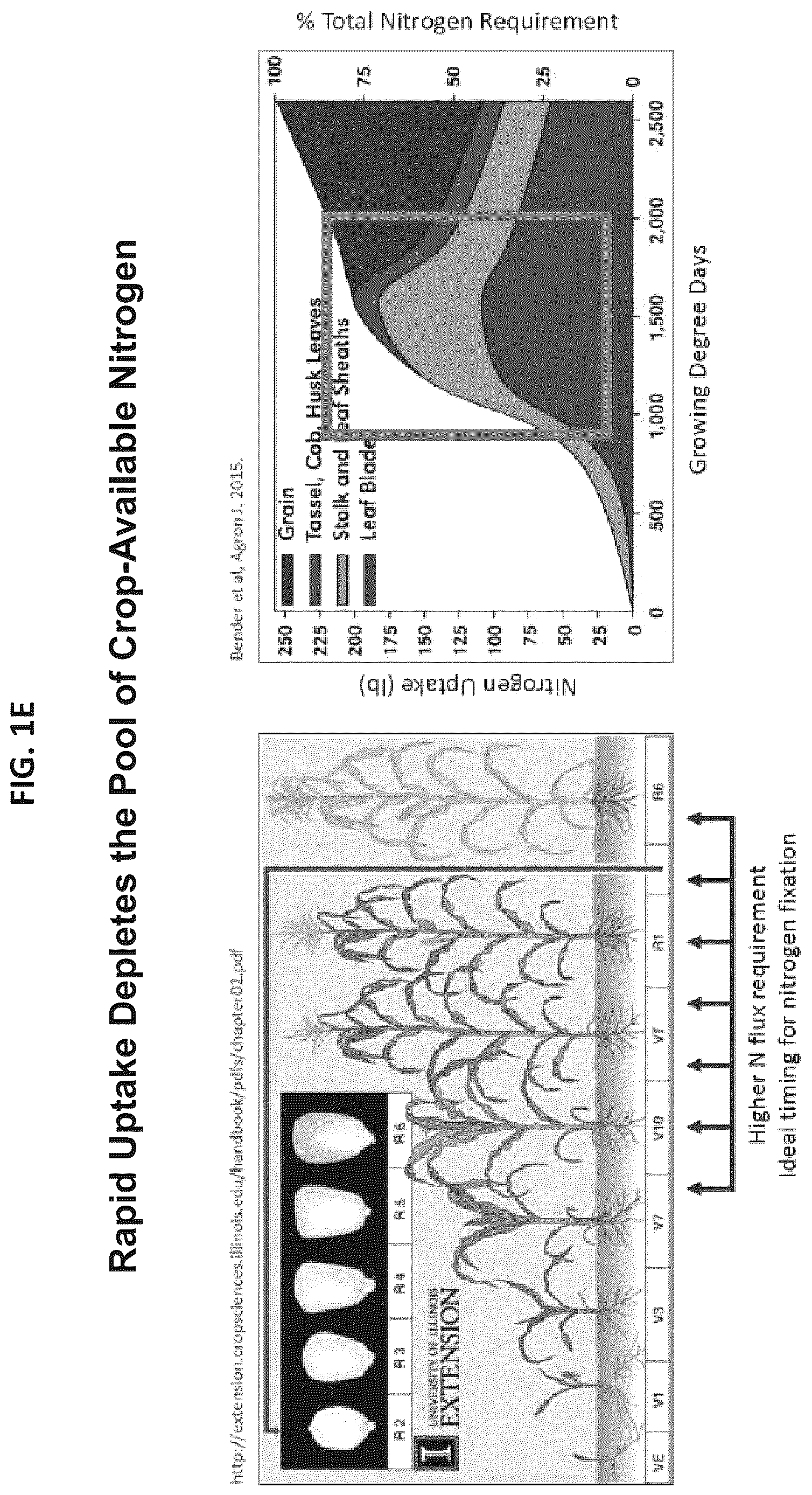 Patent US12610956 Figure 6 – Agricultural compositions comprising remodeled nitrogen fixing microbes