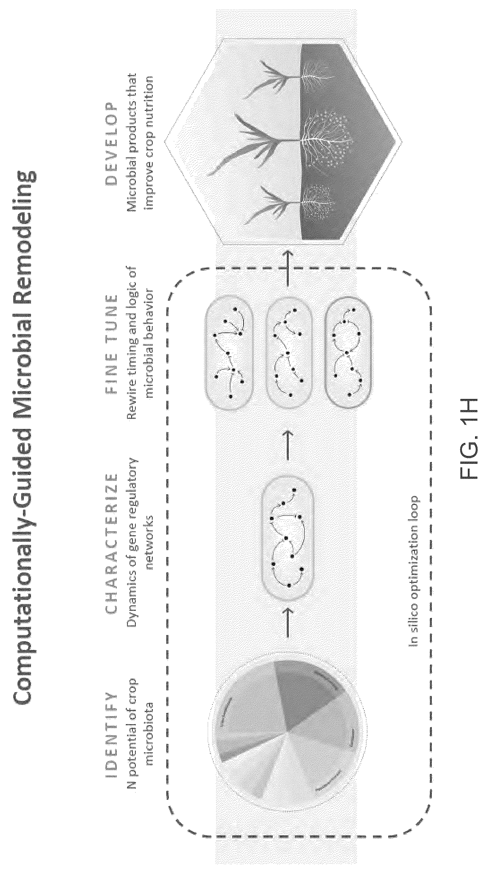 Patent US12610956 Figure 9 – Agricultural compositions comprising remodeled nitrogen fixing microbes