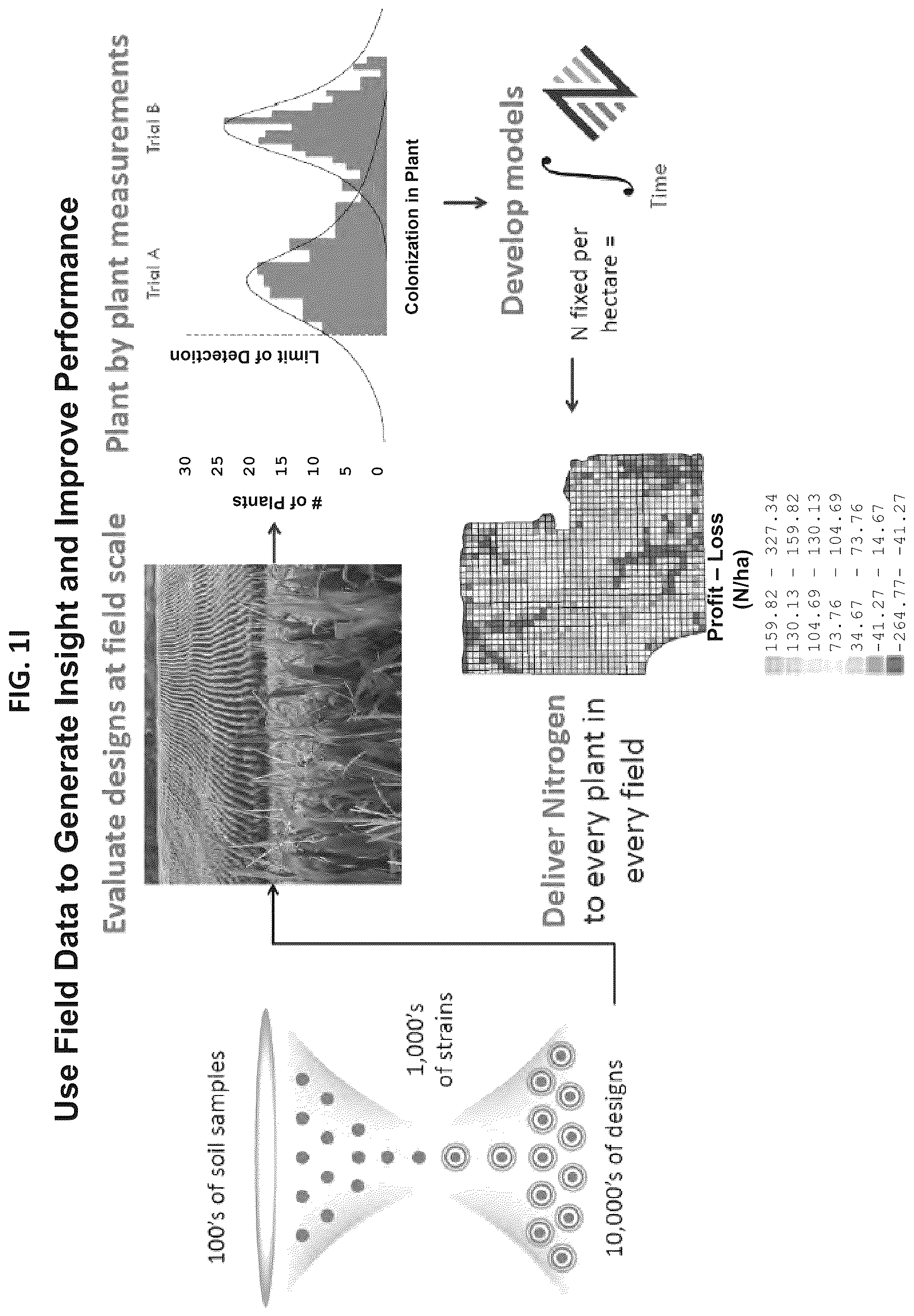 Patent US12610956 Figure 10 – Agricultural compositions comprising remodeled nitrogen fixing microbes