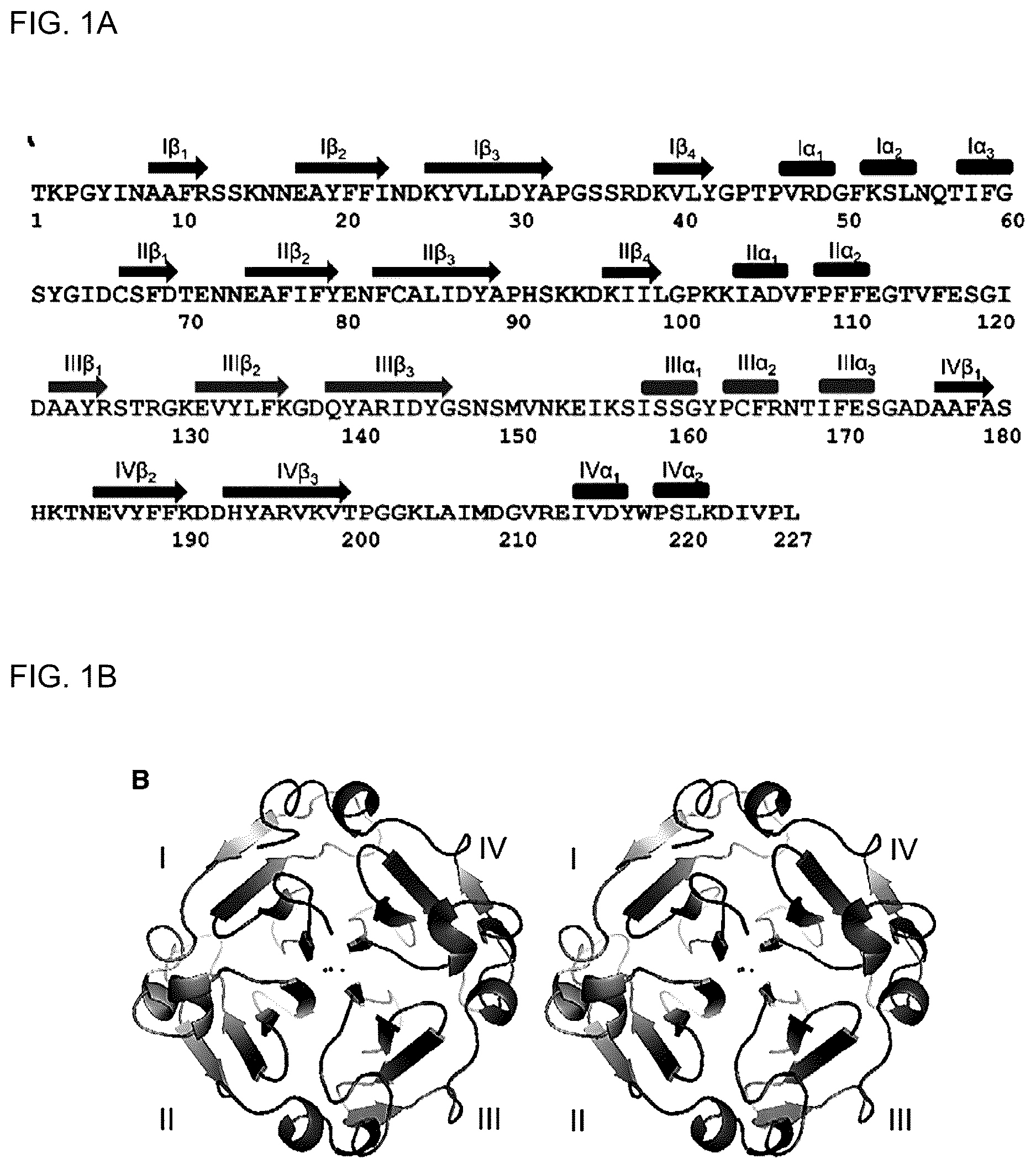 Patent US12610975 Figure 1 – Family of heme binding proteins that increase chelated iron content and improve flavor of nutritional supplements and food products