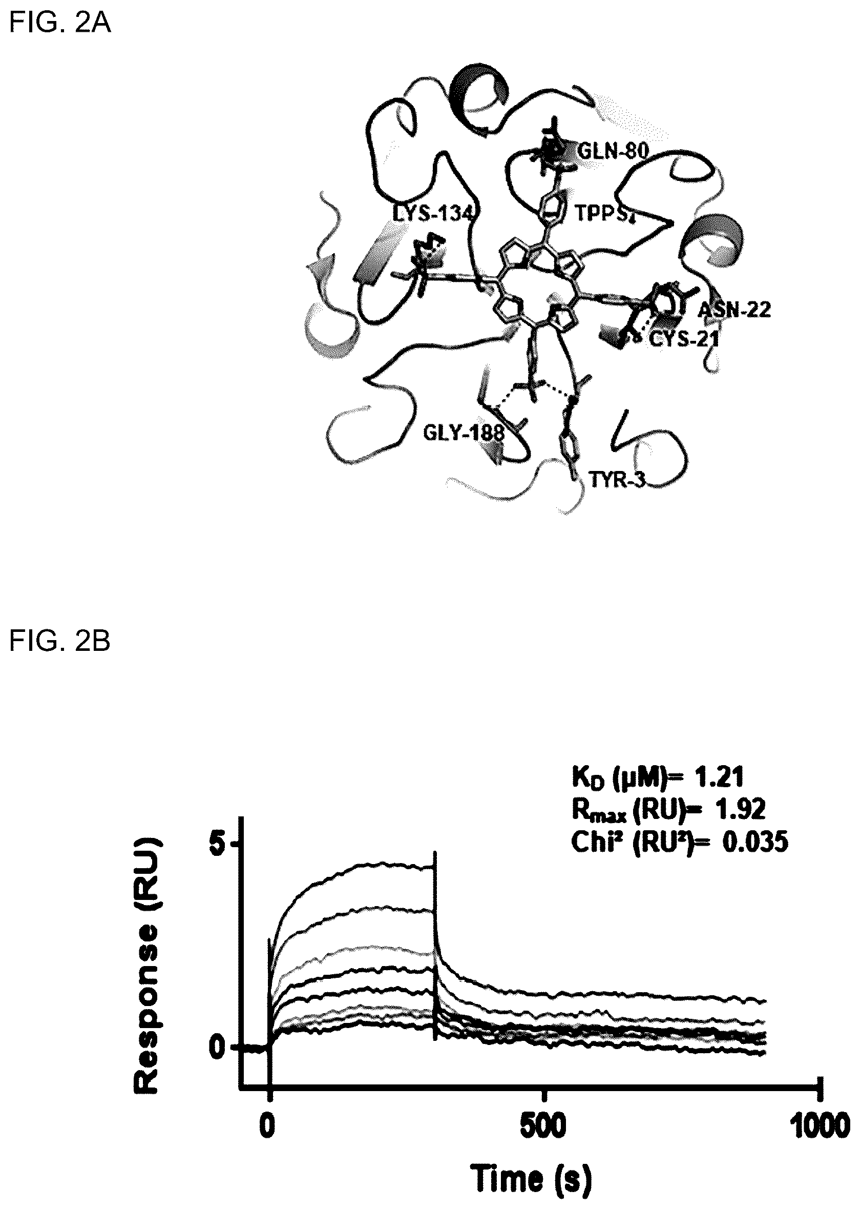 Patent US12610975 Figure 2 – Family of heme binding proteins that increase chelated iron content and improve flavor of nutritional supplements and food products