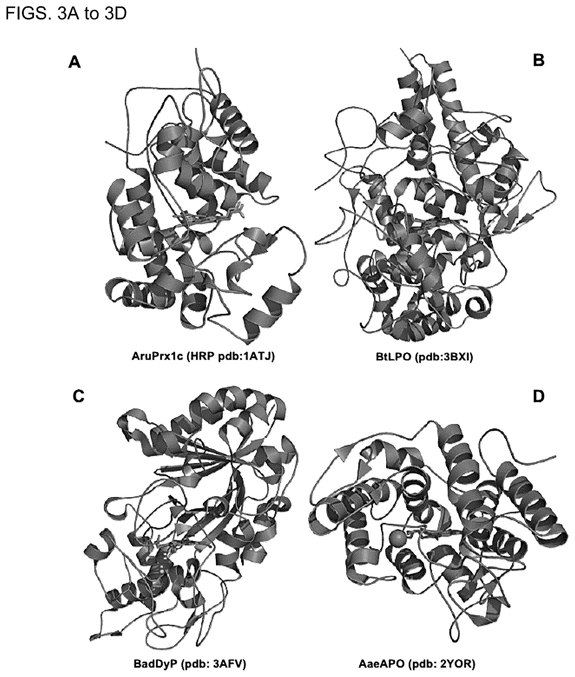 Patent US12610975 Figure 3 – Family of heme binding proteins that increase chelated iron content and improve flavor of nutritional supplements and food products