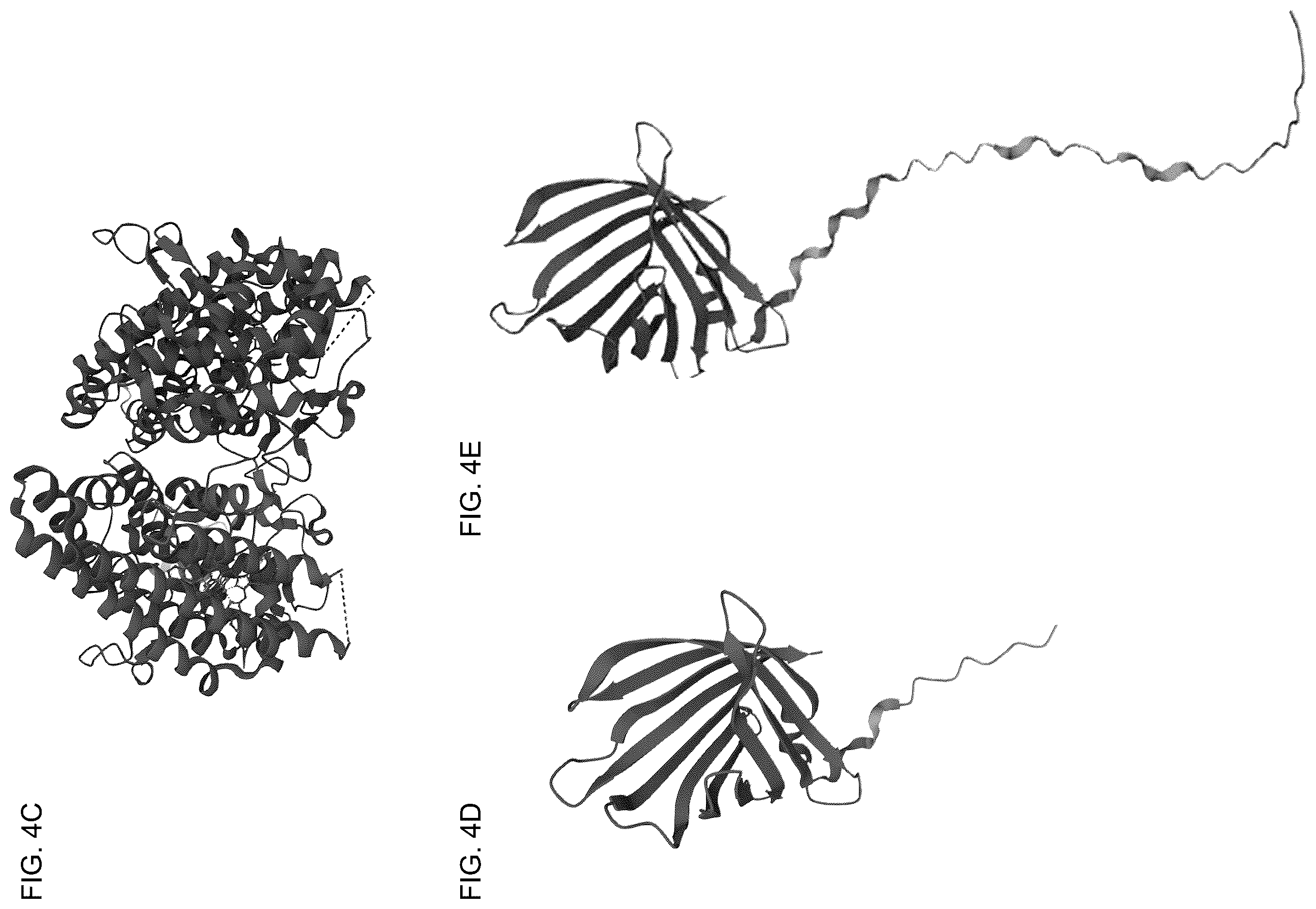 Patent US12610975 Figure 6 – Family of heme binding proteins that increase chelated iron content and improve flavor of nutritional supplements and food products