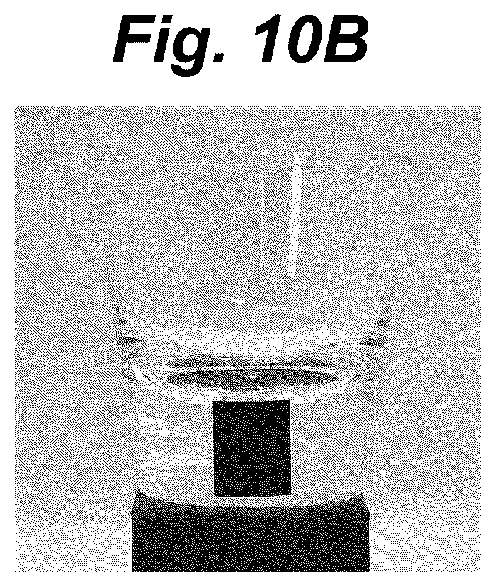 Patent US12611060 Figure 10 – Glass container with image