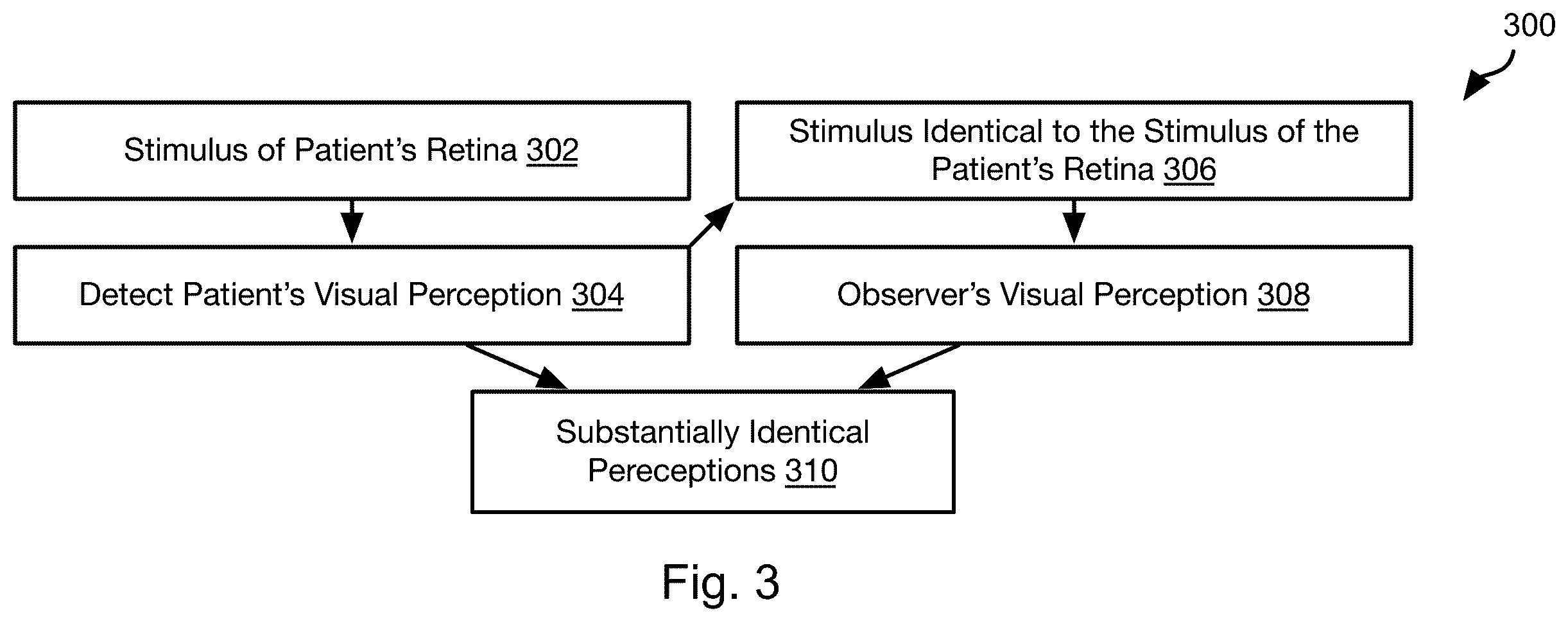 Patent US12611099 Figure 4 – Psychophysical evaluation of the effect of vitreous floaters