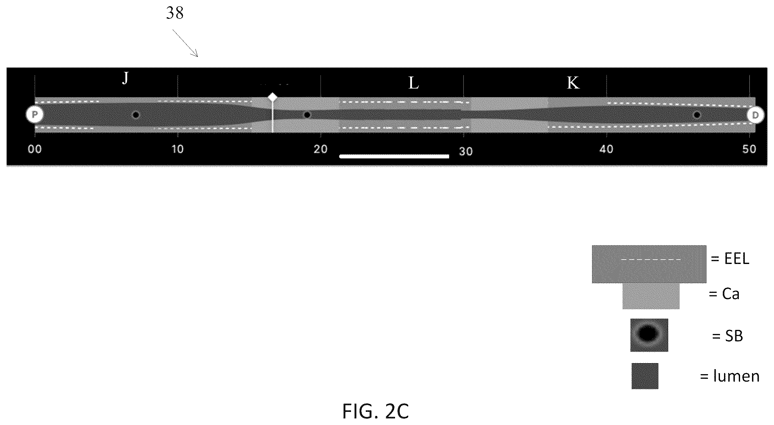 Patent US12611105 Figure 4 – Arterial imaging and assessment systems and methods and related user interface based-workflows