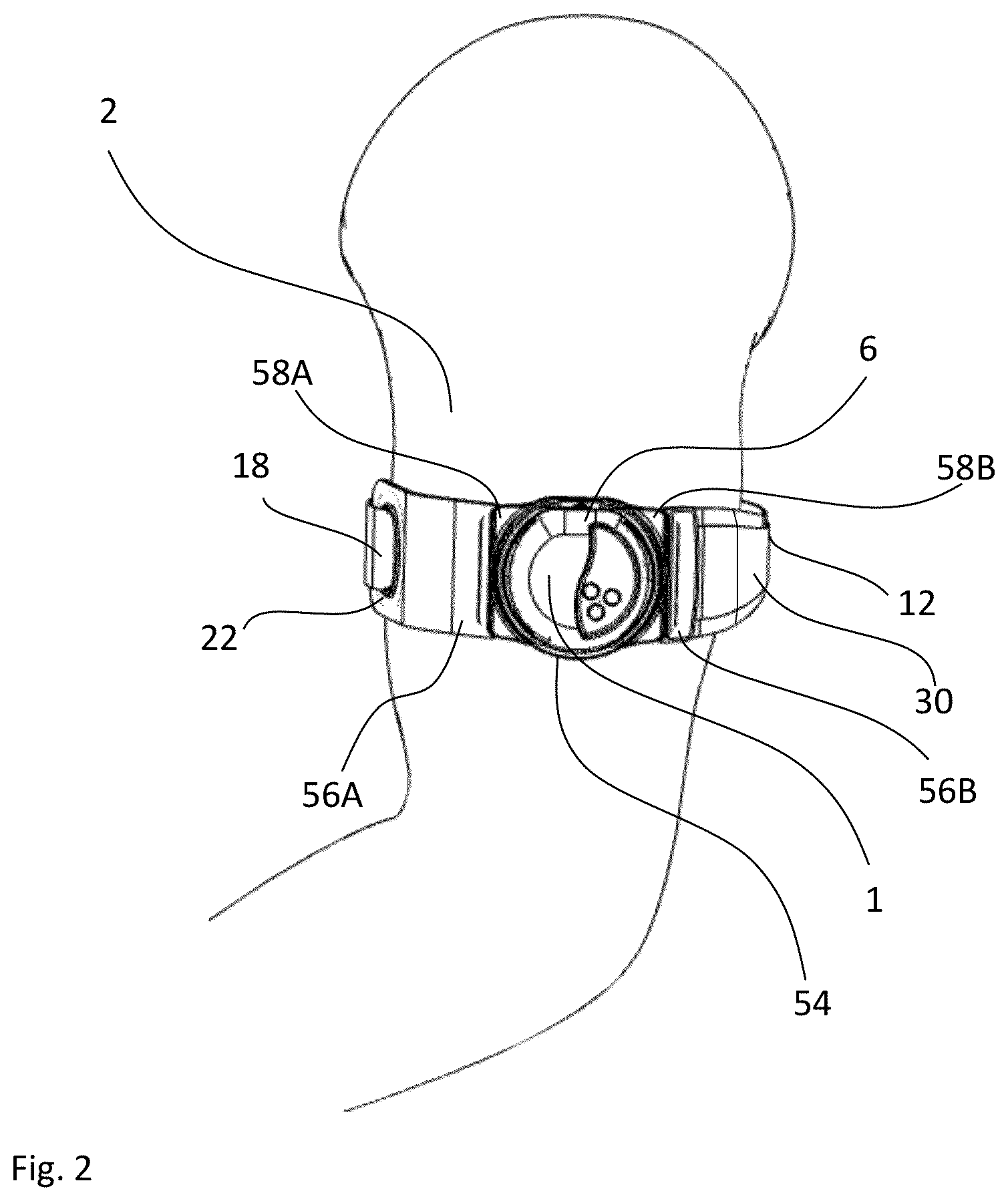 Patent US12611124 Figure 2 – Monitoring apparatus and method
