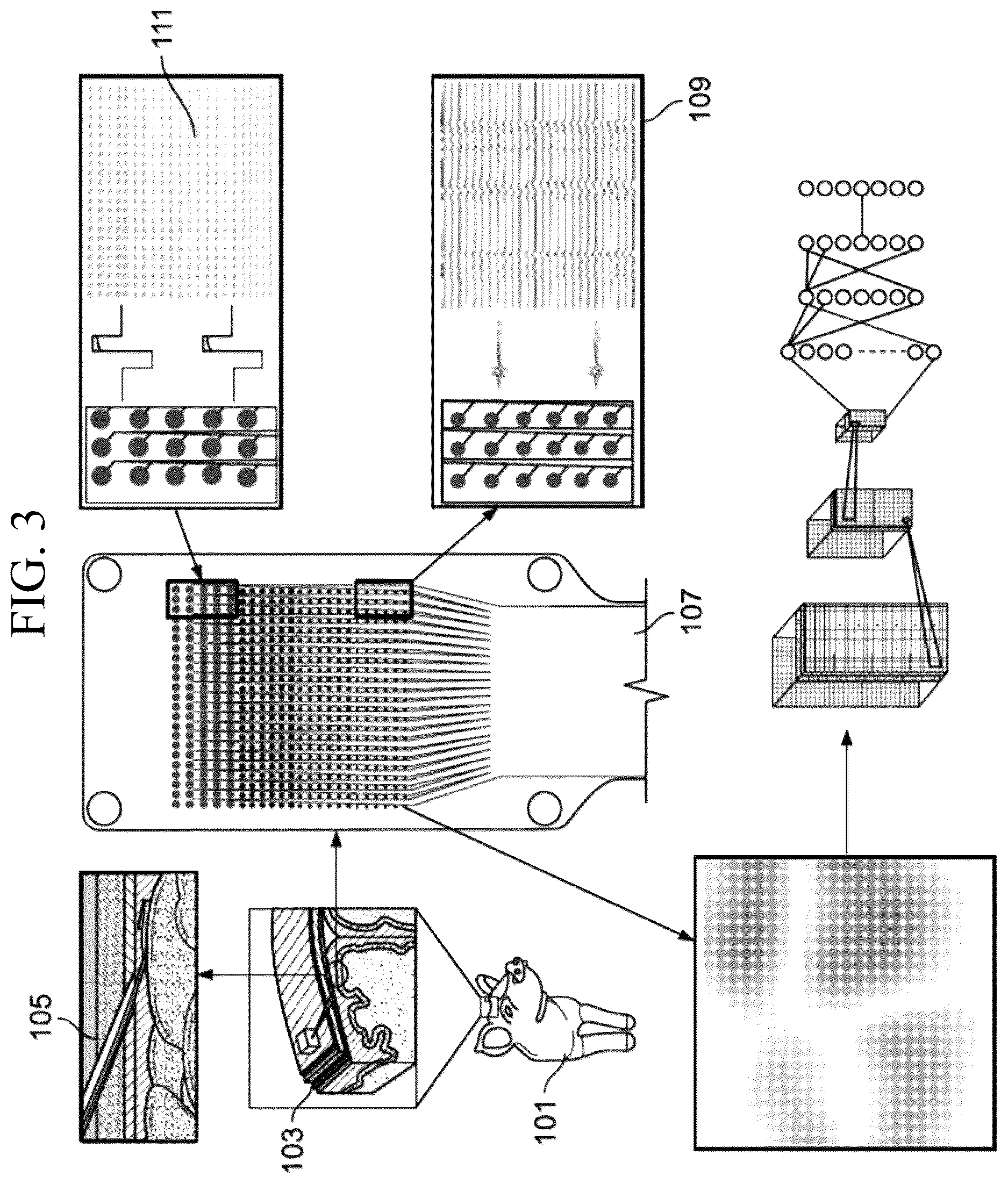 Patent US12611132 Figure 3 – Systems and methods for visualizing brain activity in real time at high spatial and temporal resolution