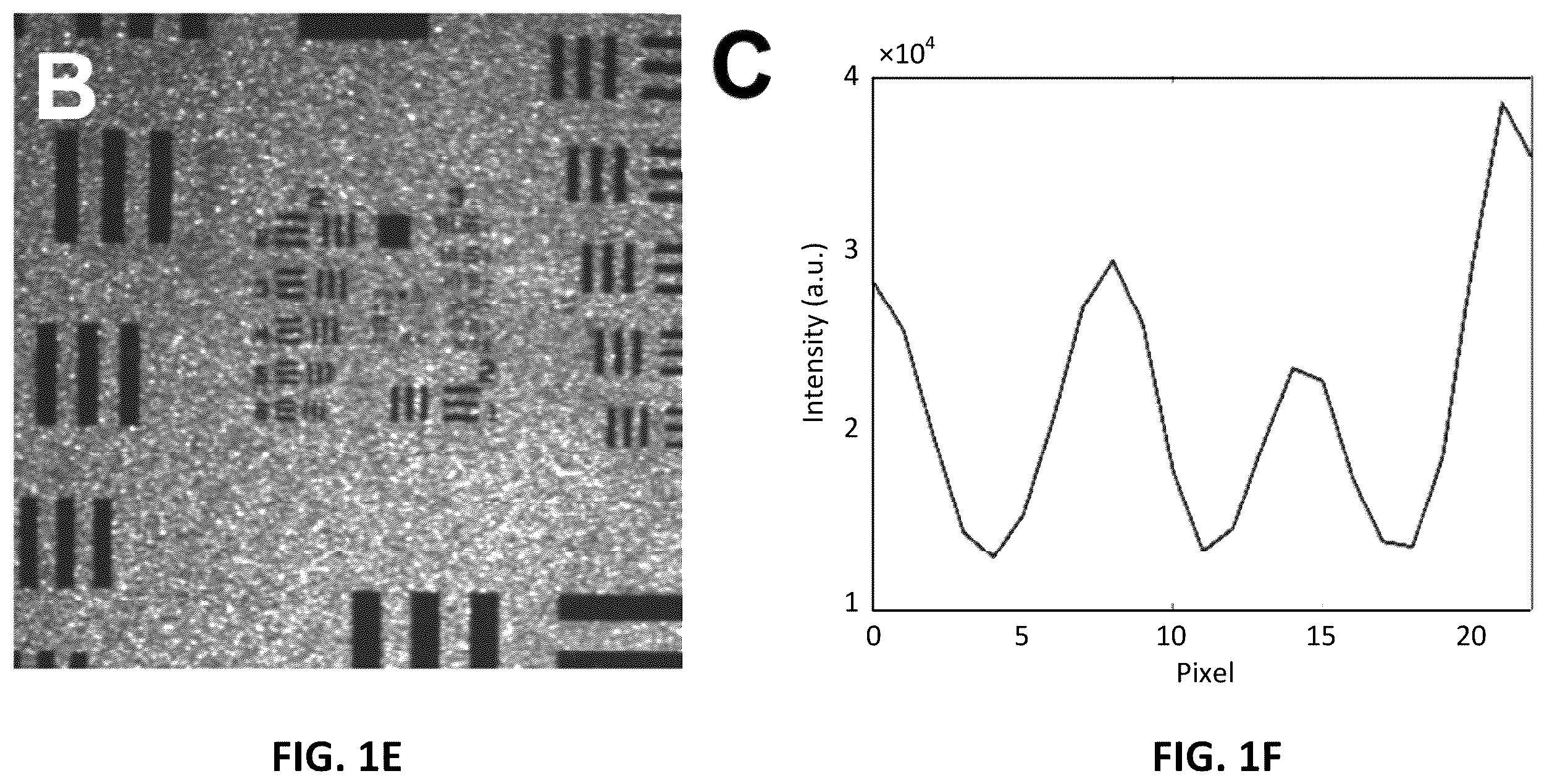 Patent US12611142 Figure 3 – Method and apparatus for intraoperative nerve visualization using polarized diffuse reflectance spectroscopy and applications of same