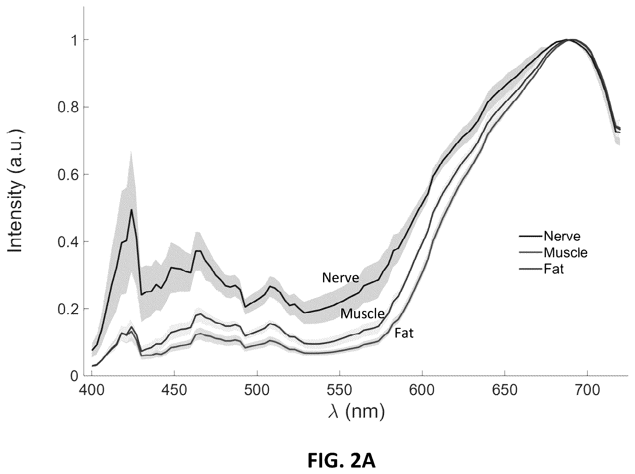 Patent US12611142 Figure 5 – Method and apparatus for intraoperative nerve visualization using polarized diffuse reflectance spectroscopy and applications of same