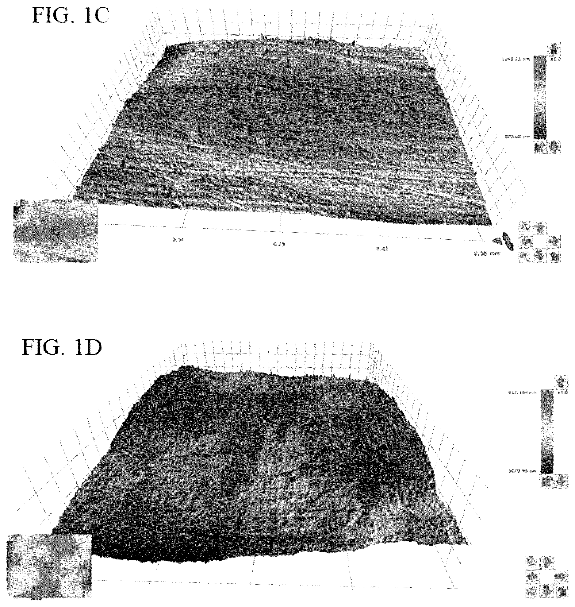 Patent US12611290 Figure 2 – Method for forming and polishing a composite denture