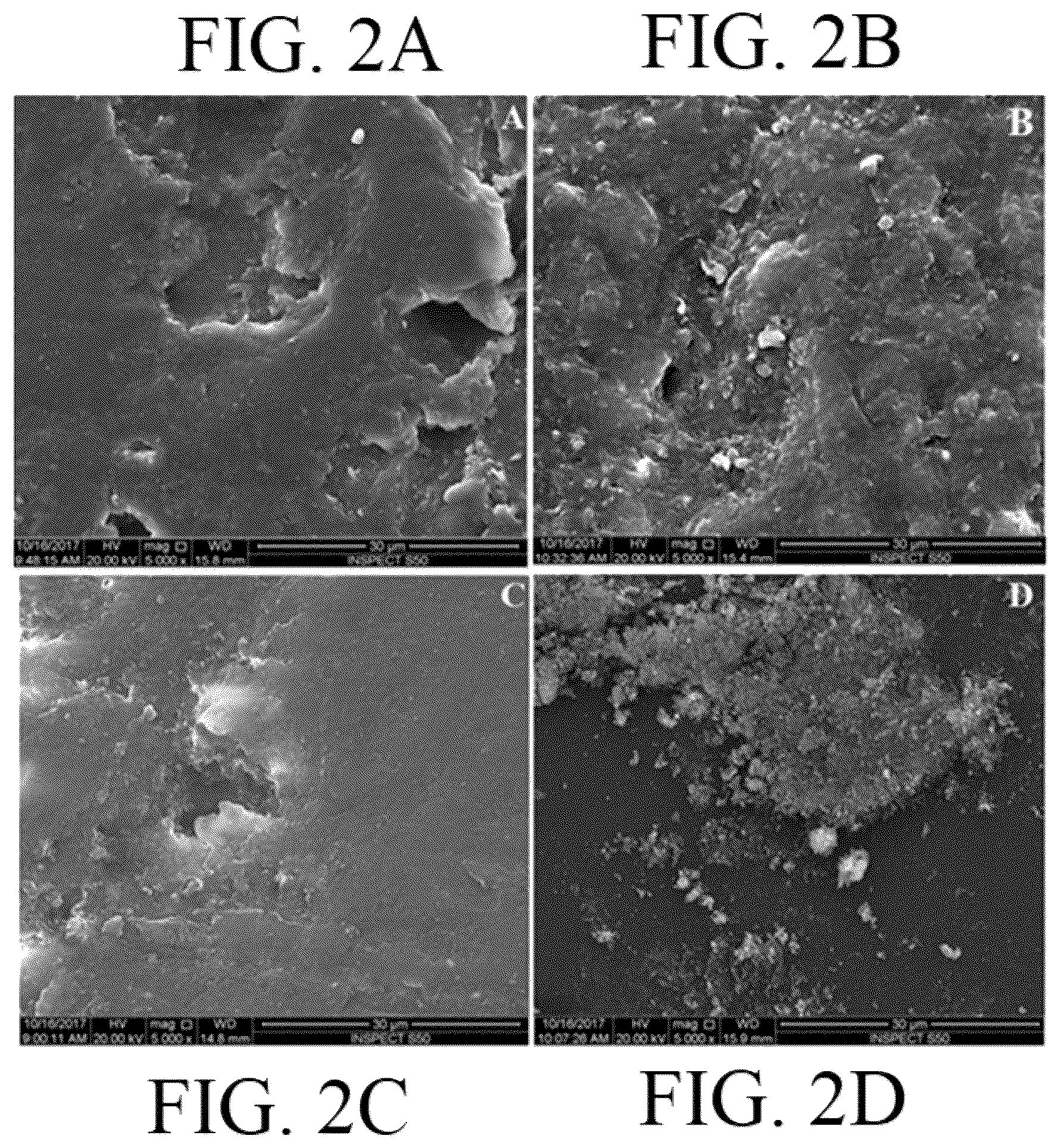 Patent US12611290 Figure 3 – Method for forming and polishing a composite denture