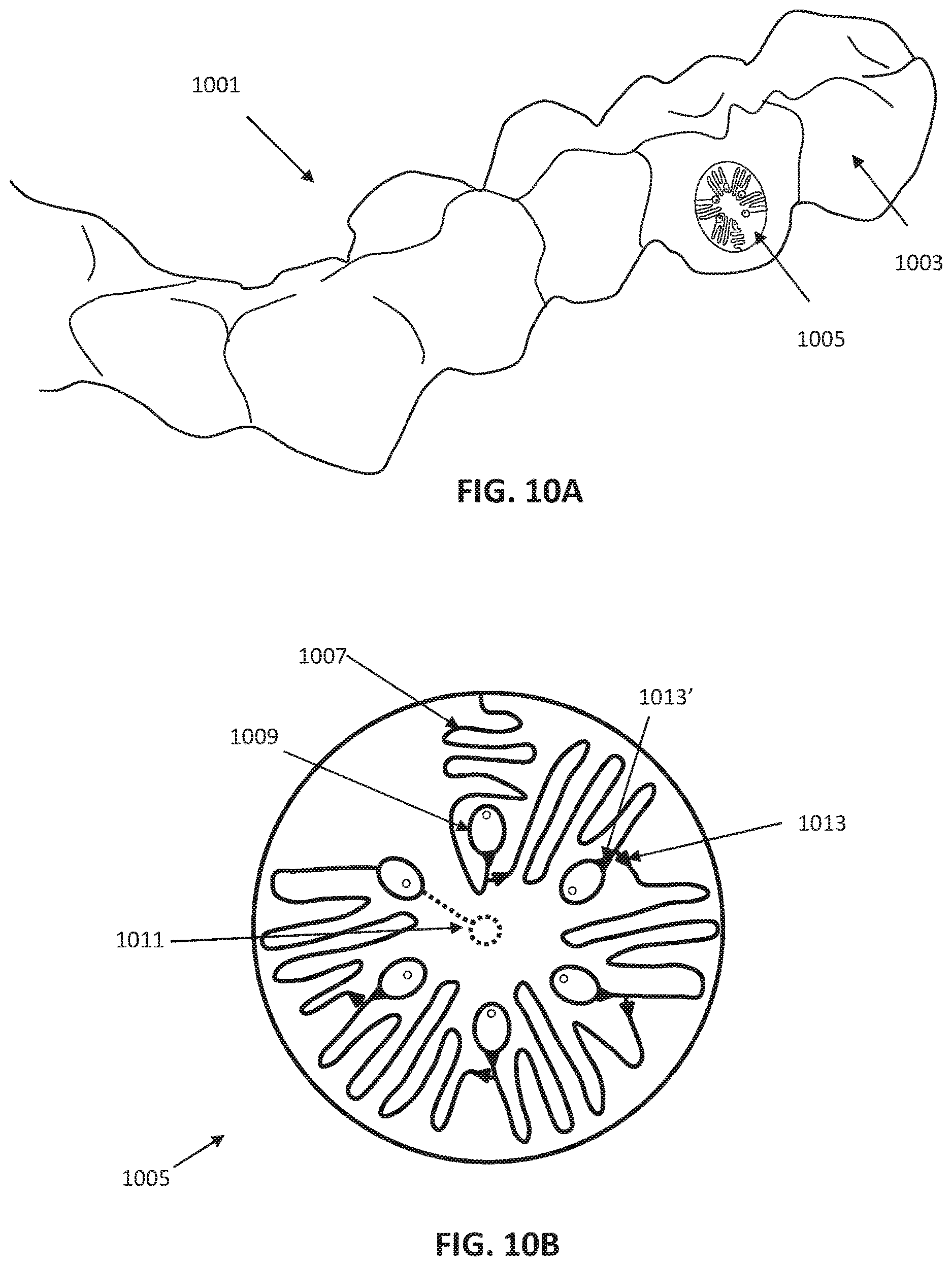 Patent US12611291 Figure 11 – Biosensor performance indicator systems for orthodontic appliances