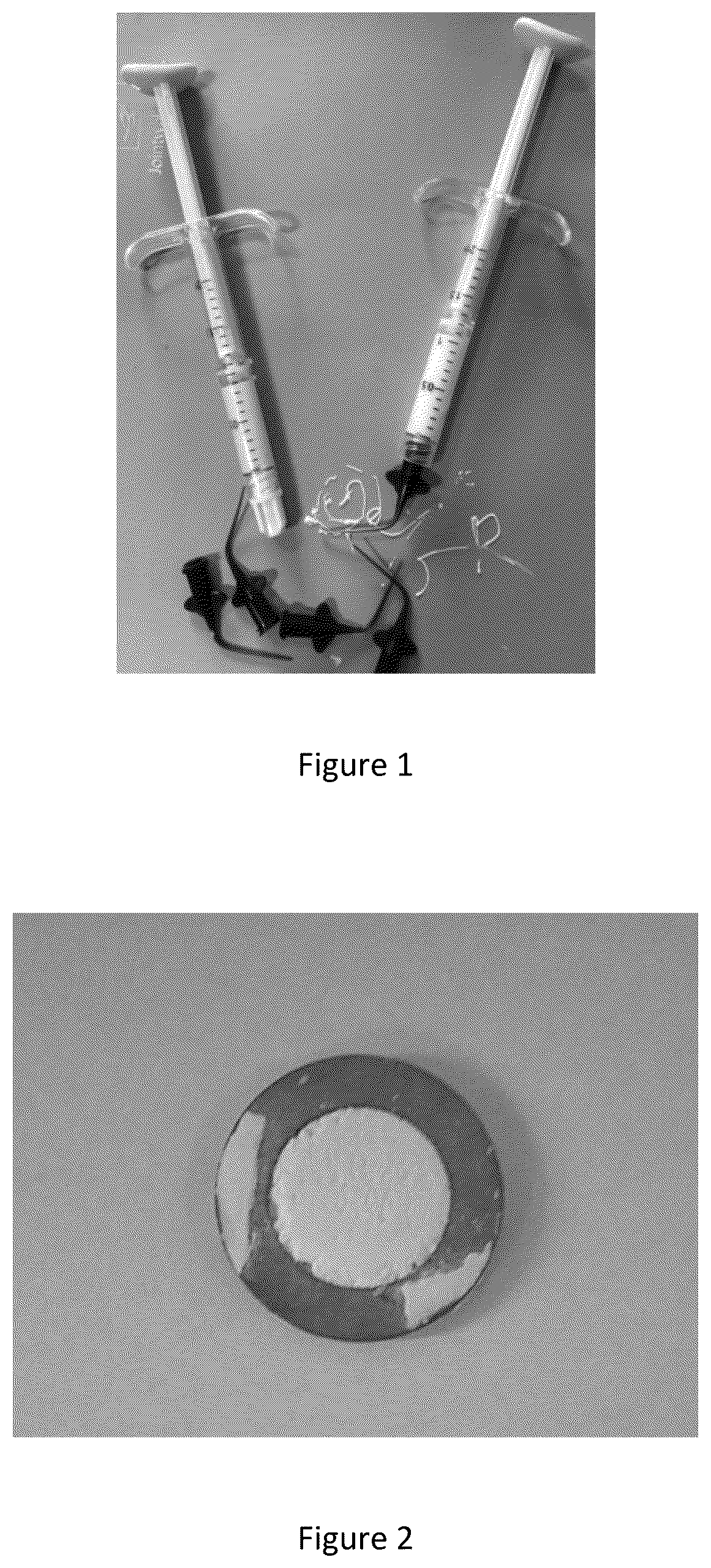 Patent US12611366 Figure 1 – Pre-mixed strontium silicate-based biological hydraulic cementing paste composition, preparation method therefor, and application thereof