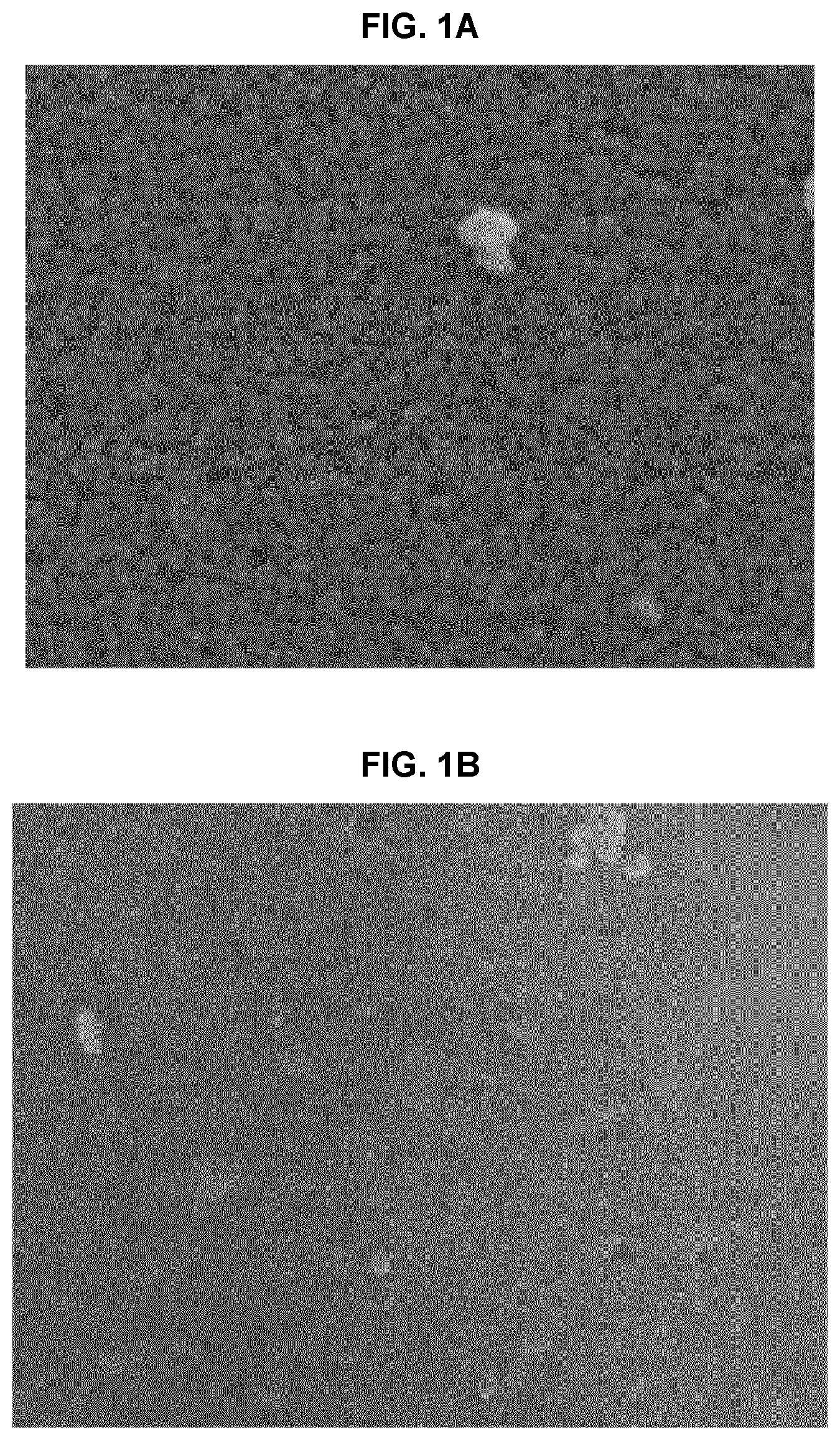 Patent US12611367 Figure 1 – Anti-pollution composite powder having UV- and fine dust-blocking function and cosmetic composition comprising same