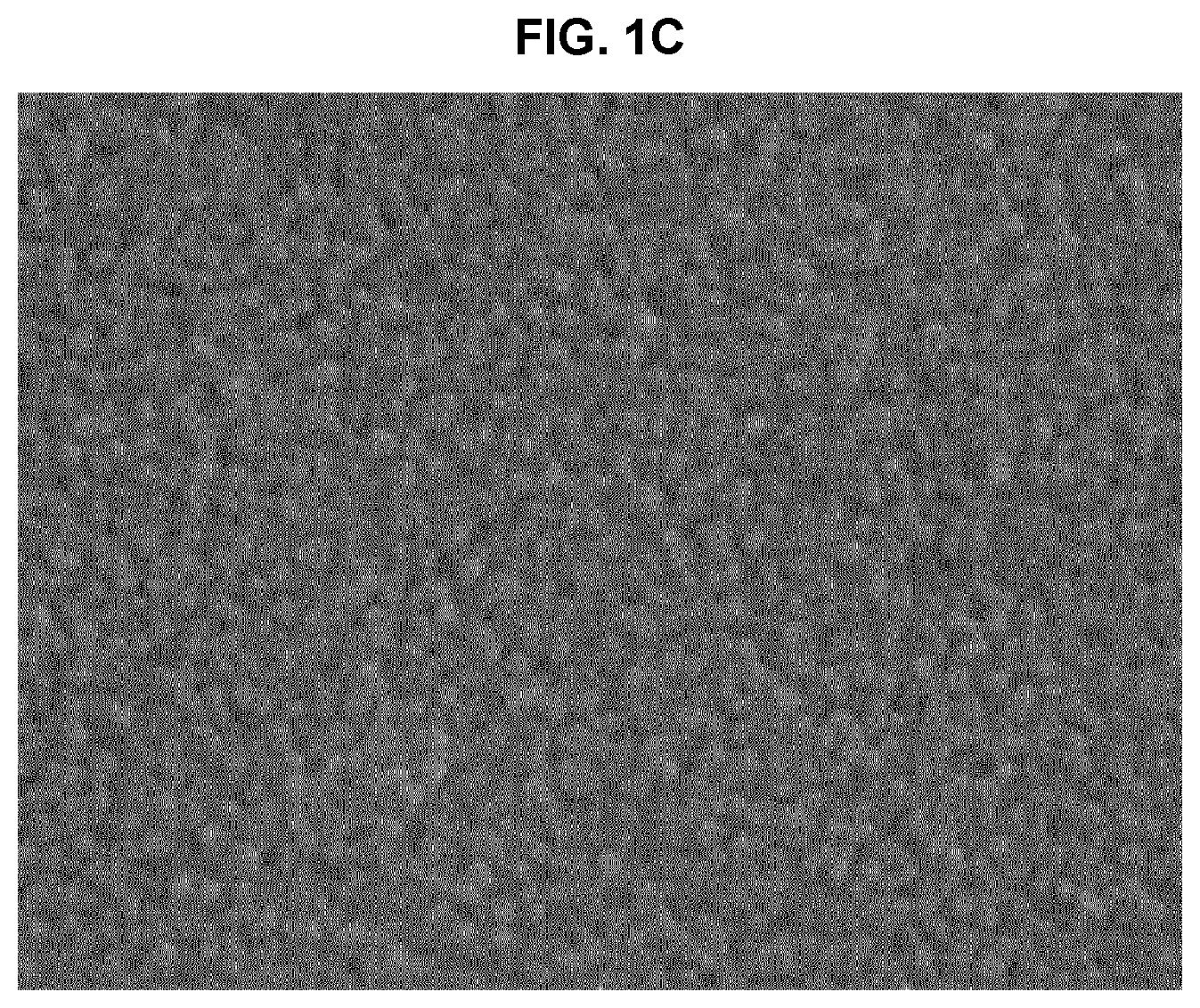 Patent US12611367 Figure 2 – Anti-pollution composite powder having UV- and fine dust-blocking function and cosmetic composition comprising same