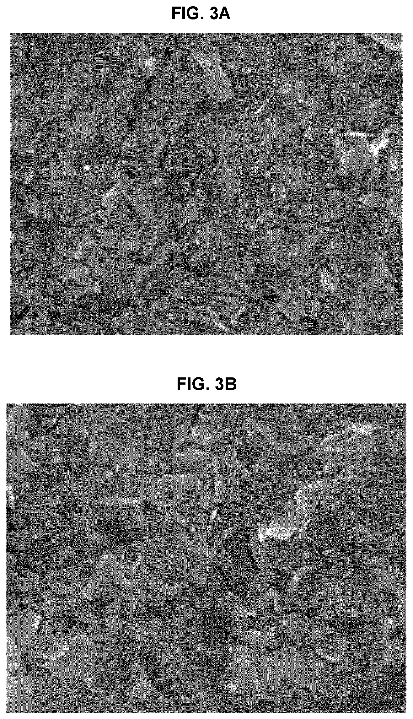 Patent US12611367 Figure 4 – Anti-pollution composite powder having UV- and fine dust-blocking function and cosmetic composition comprising same