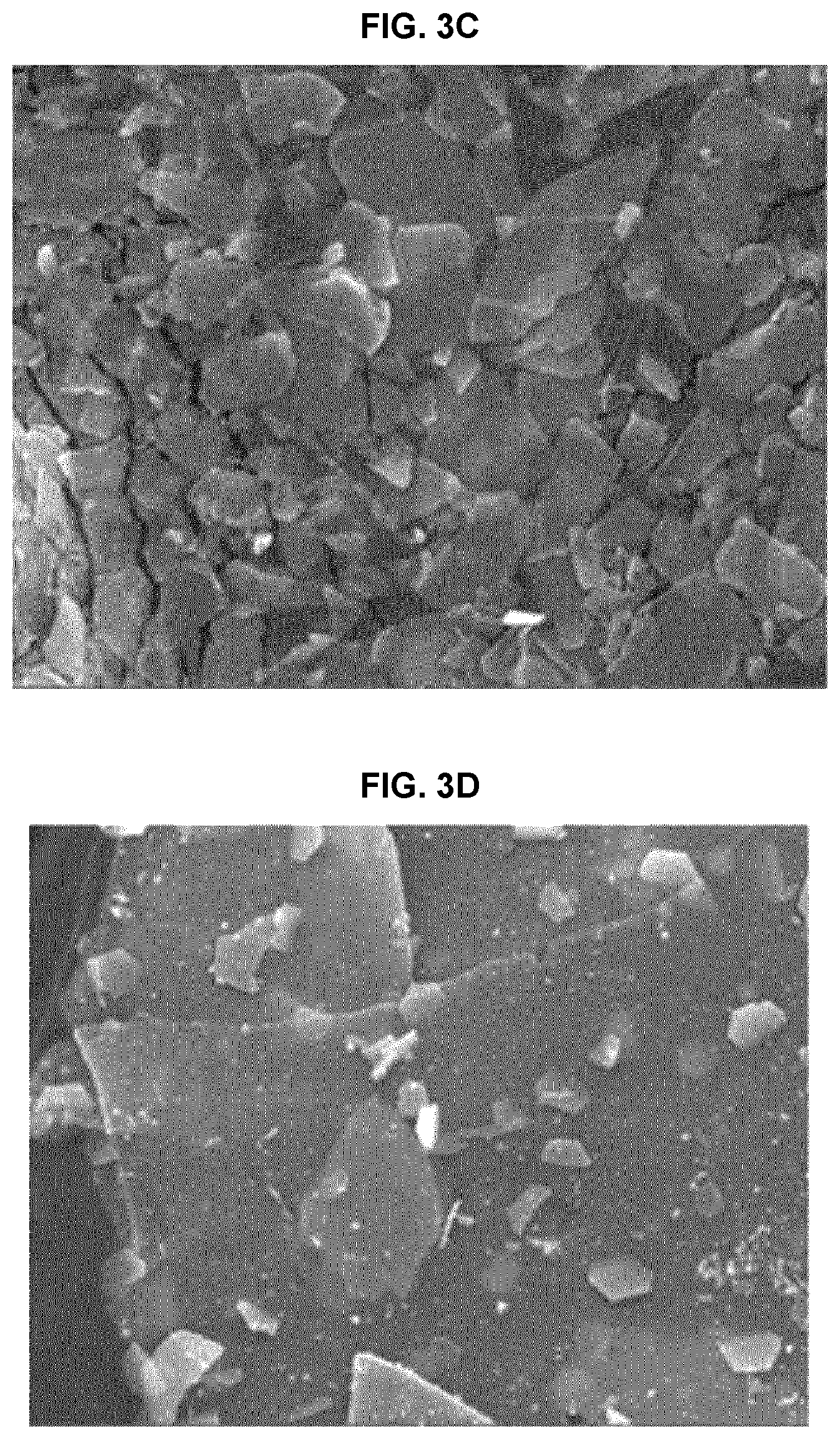 Patent US12611367 Figure 5 – Anti-pollution composite powder having UV- and fine dust-blocking function and cosmetic composition comprising same