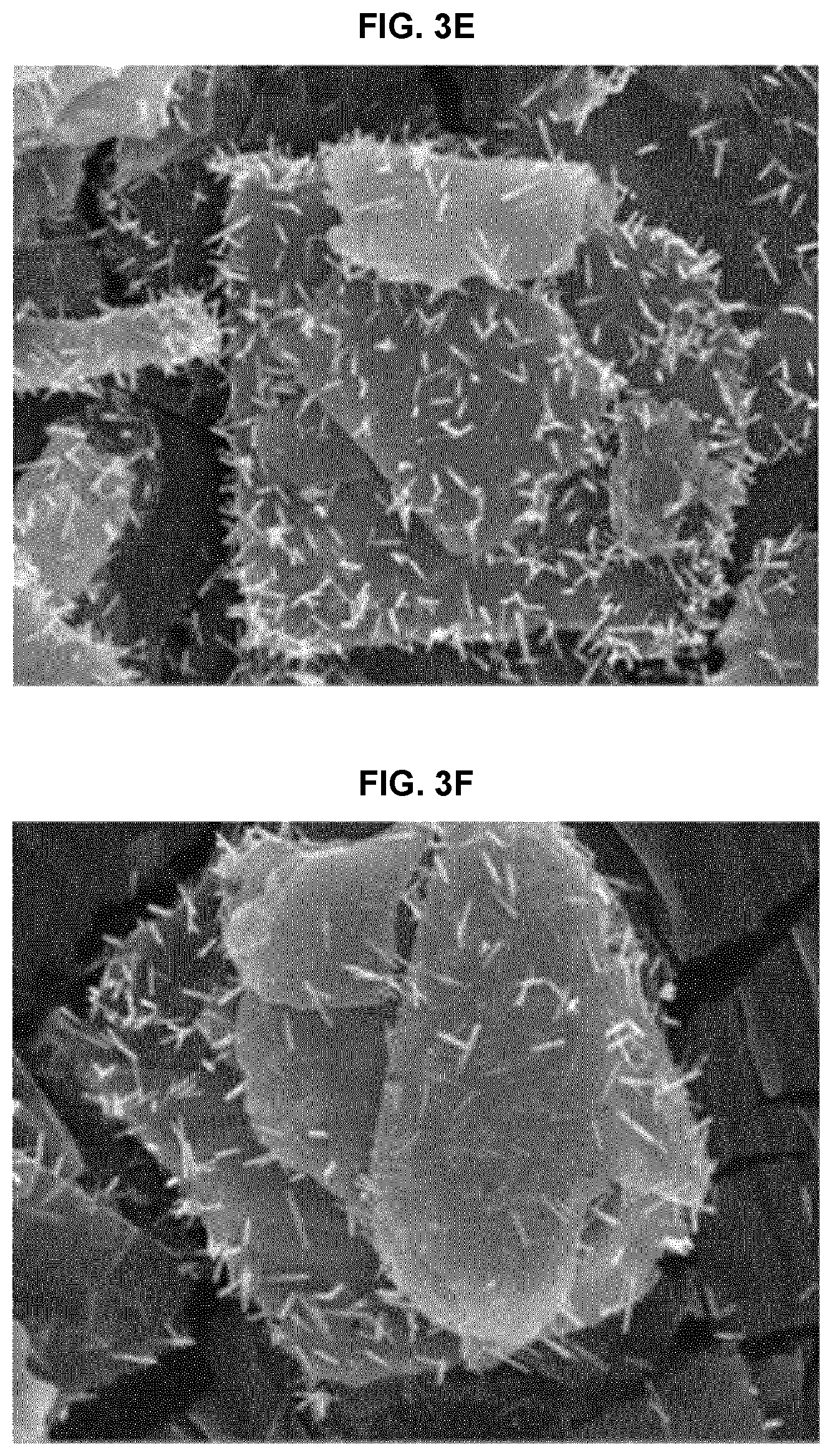 Patent US12611367 Figure 6 – Anti-pollution composite powder having UV- and fine dust-blocking function and cosmetic composition comprising same