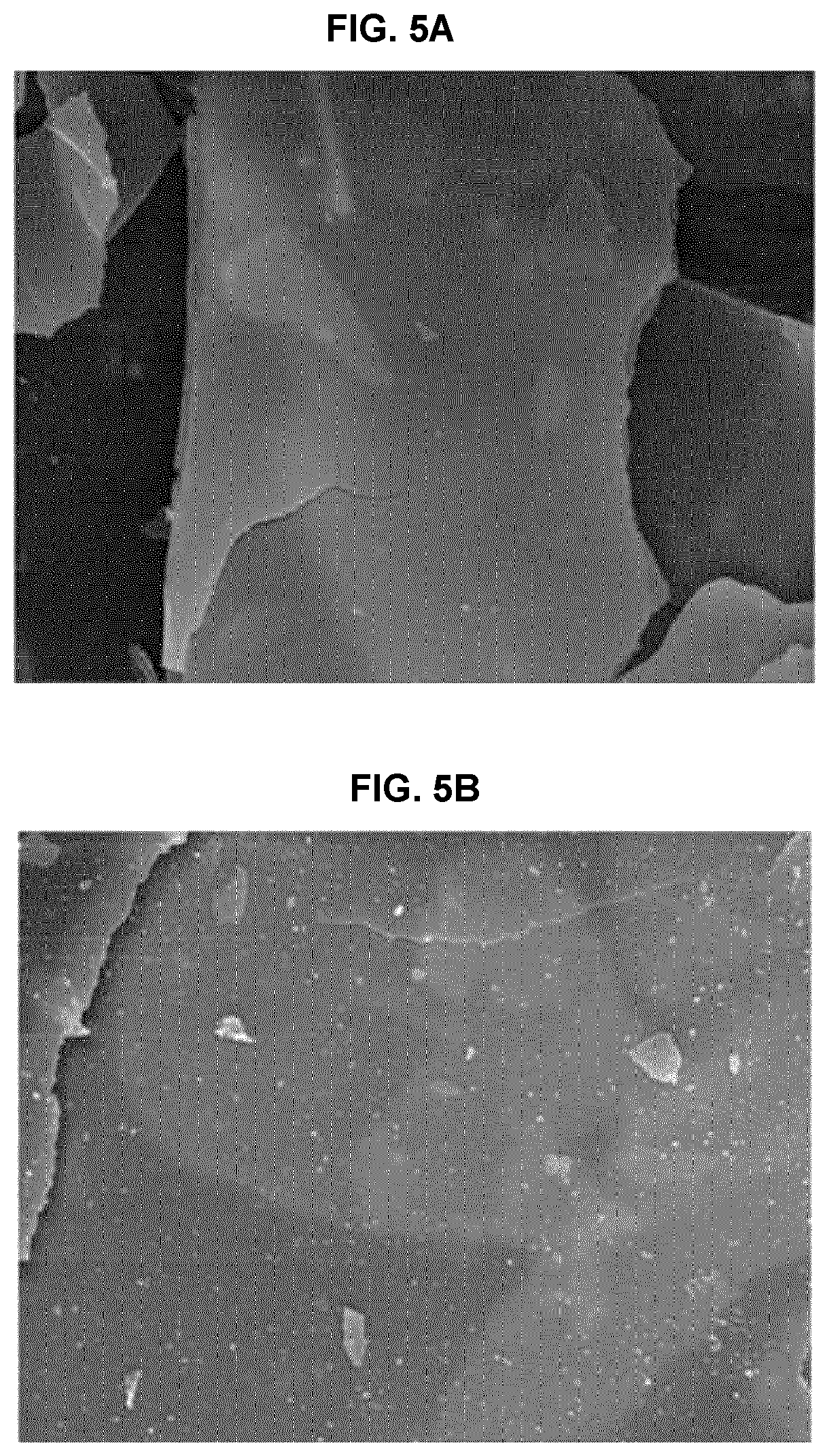 Patent US12611367 Figure 8 – Anti-pollution composite powder having UV- and fine dust-blocking function and cosmetic composition comprising same