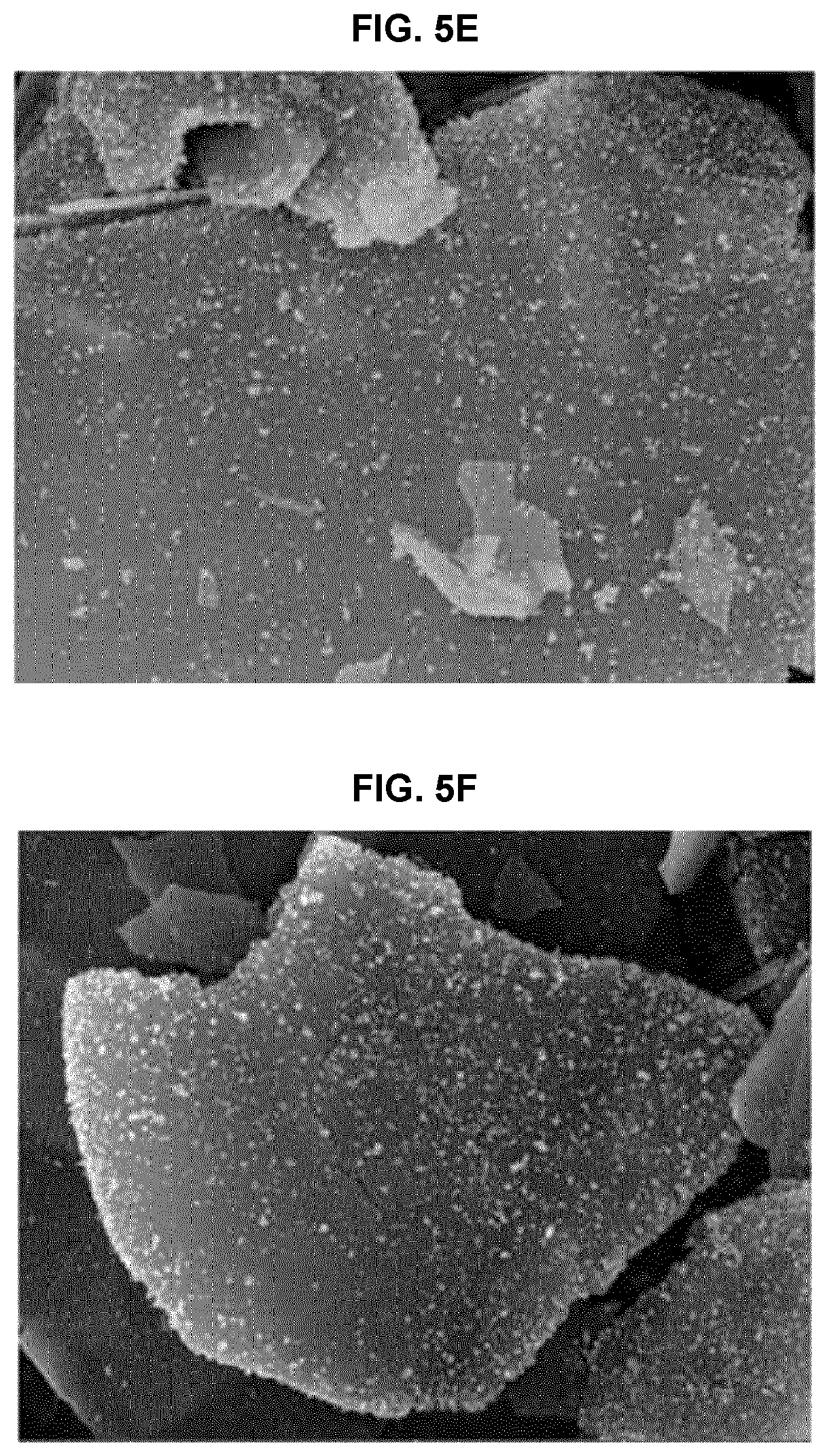 Patent US12611367 Figure 10 – Anti-pollution composite powder having UV- and fine dust-blocking function and cosmetic composition comprising same