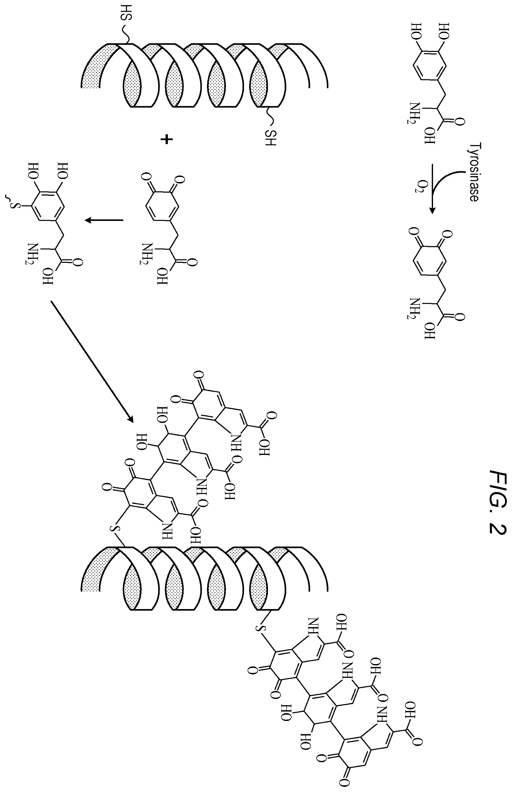 Patent US12611369 Figure 3 – Skin mimicry compositions and implants