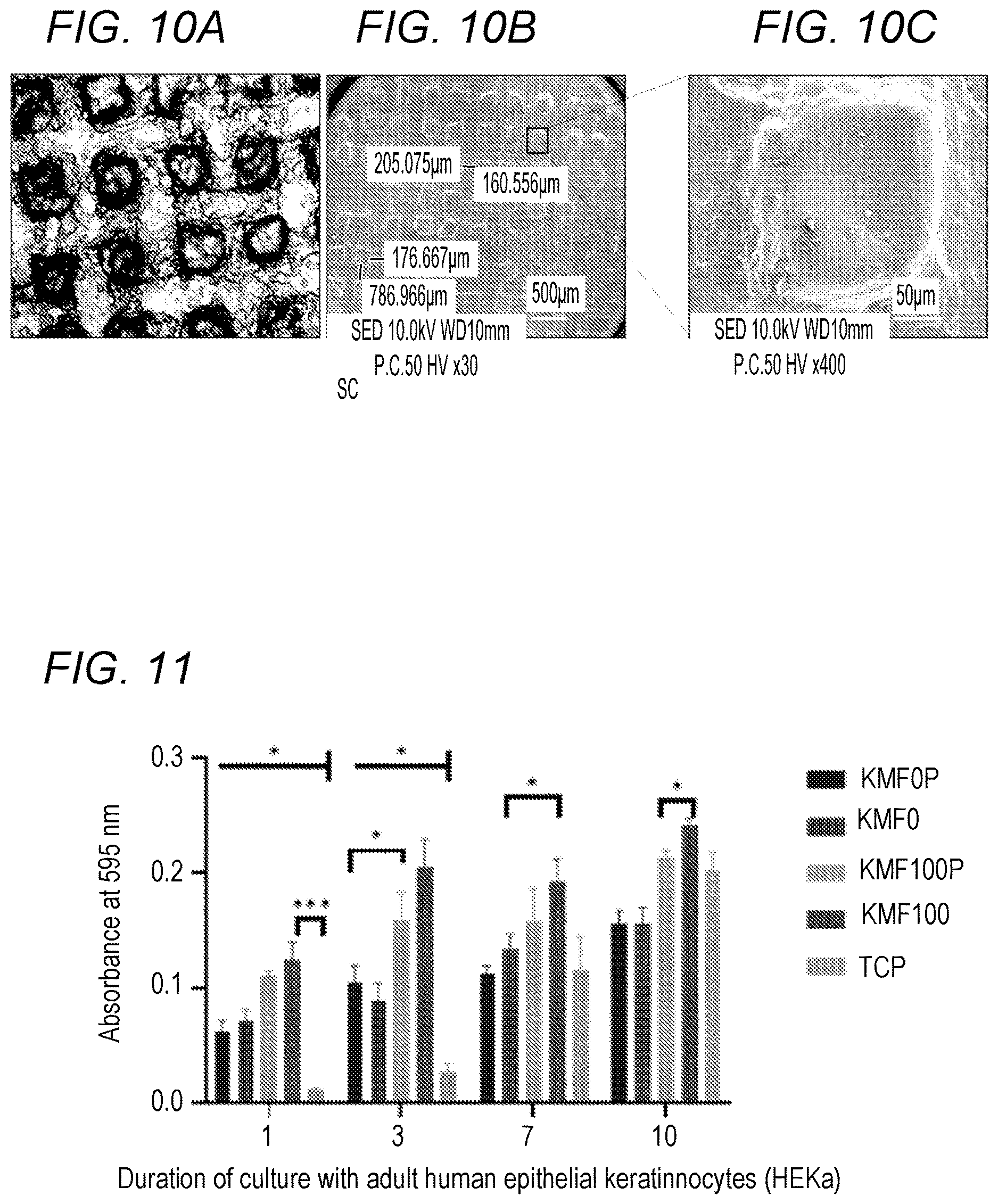 Patent US12611369 Figure 10 – Skin mimicry compositions and implants