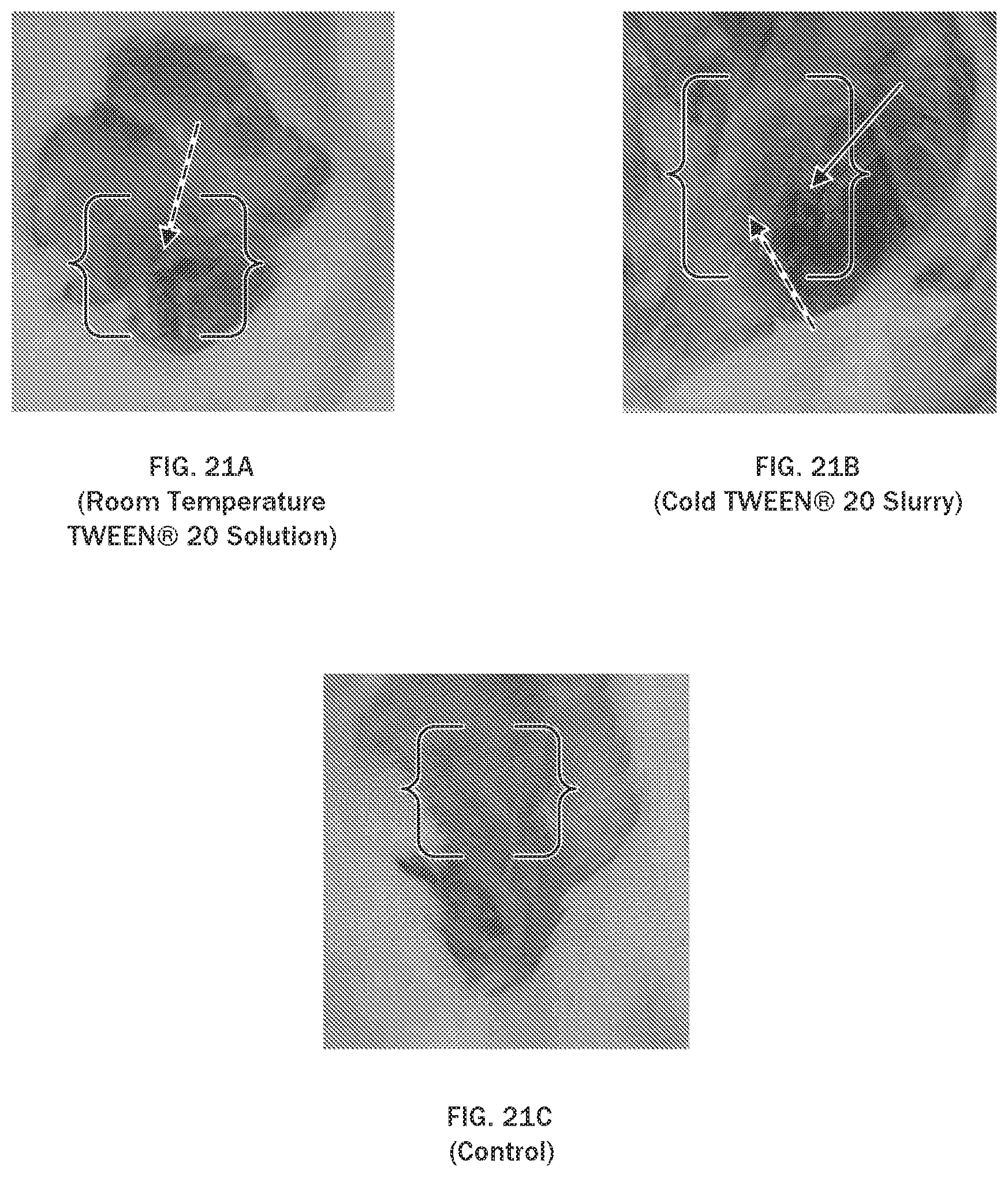 Patent US12611375 Figure 19 – Injectable slurries and methods of manufacturing the same