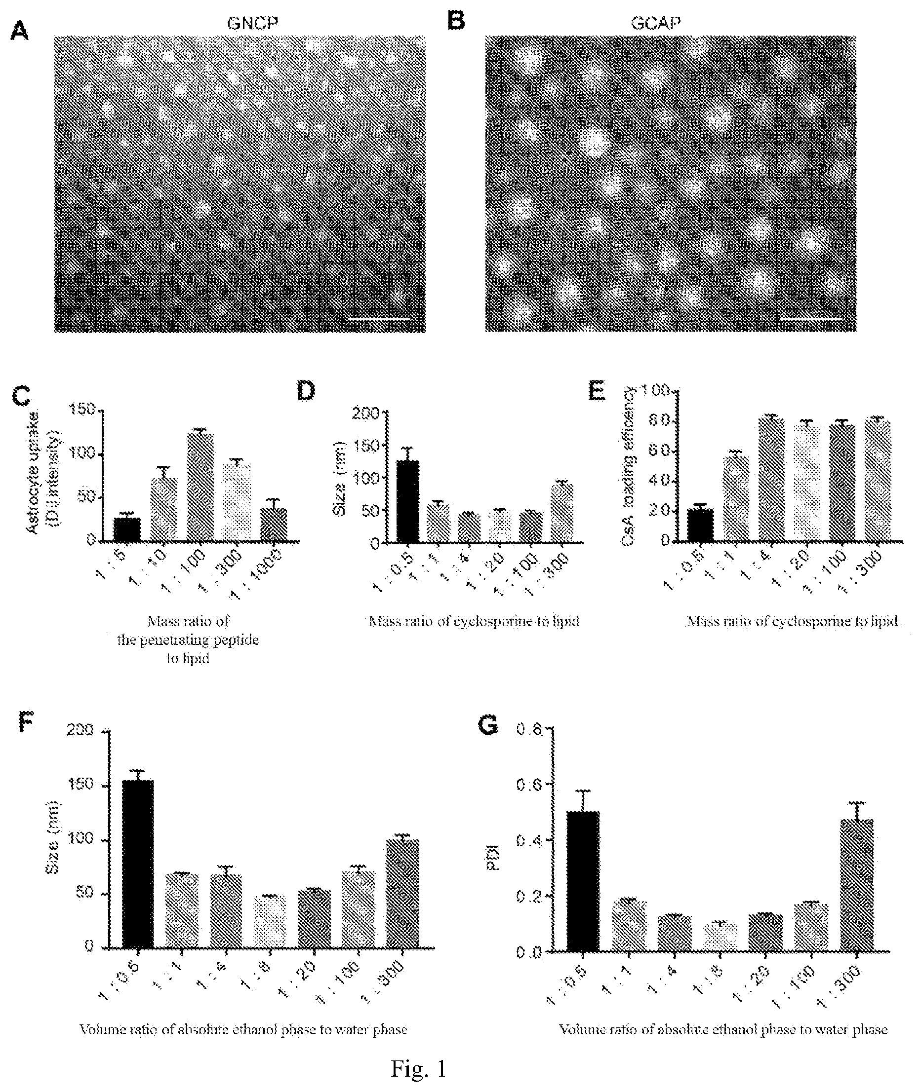 Patent US12611379 — Lipid nano drug delivery system targeting brain lesion and preparation method and application thereof — Figure 1
