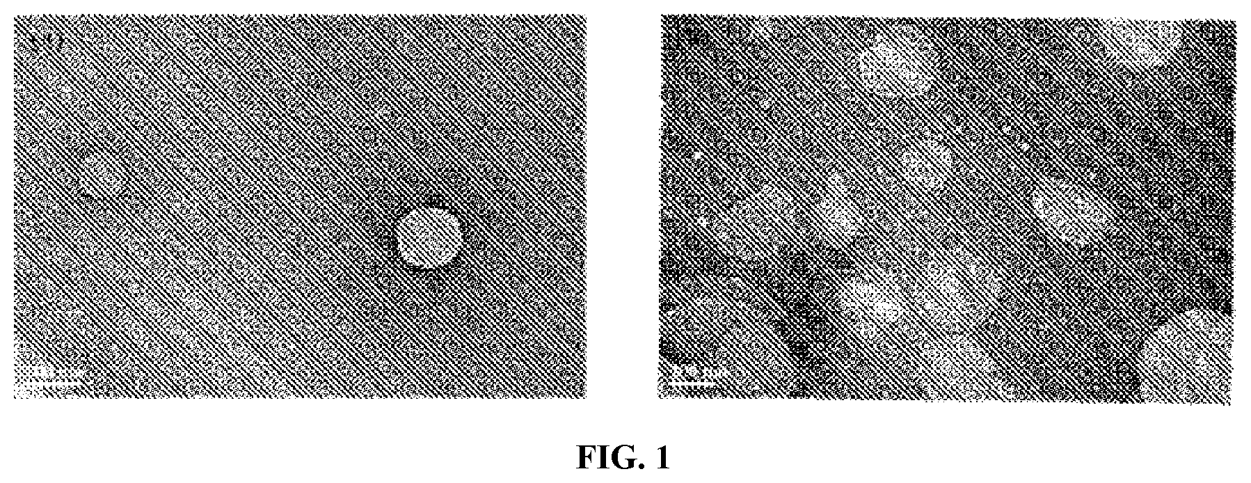 Patent US12611381 Figure 1 – Cationic hyaluronic acid coated spanlastics and preparation and application thereof