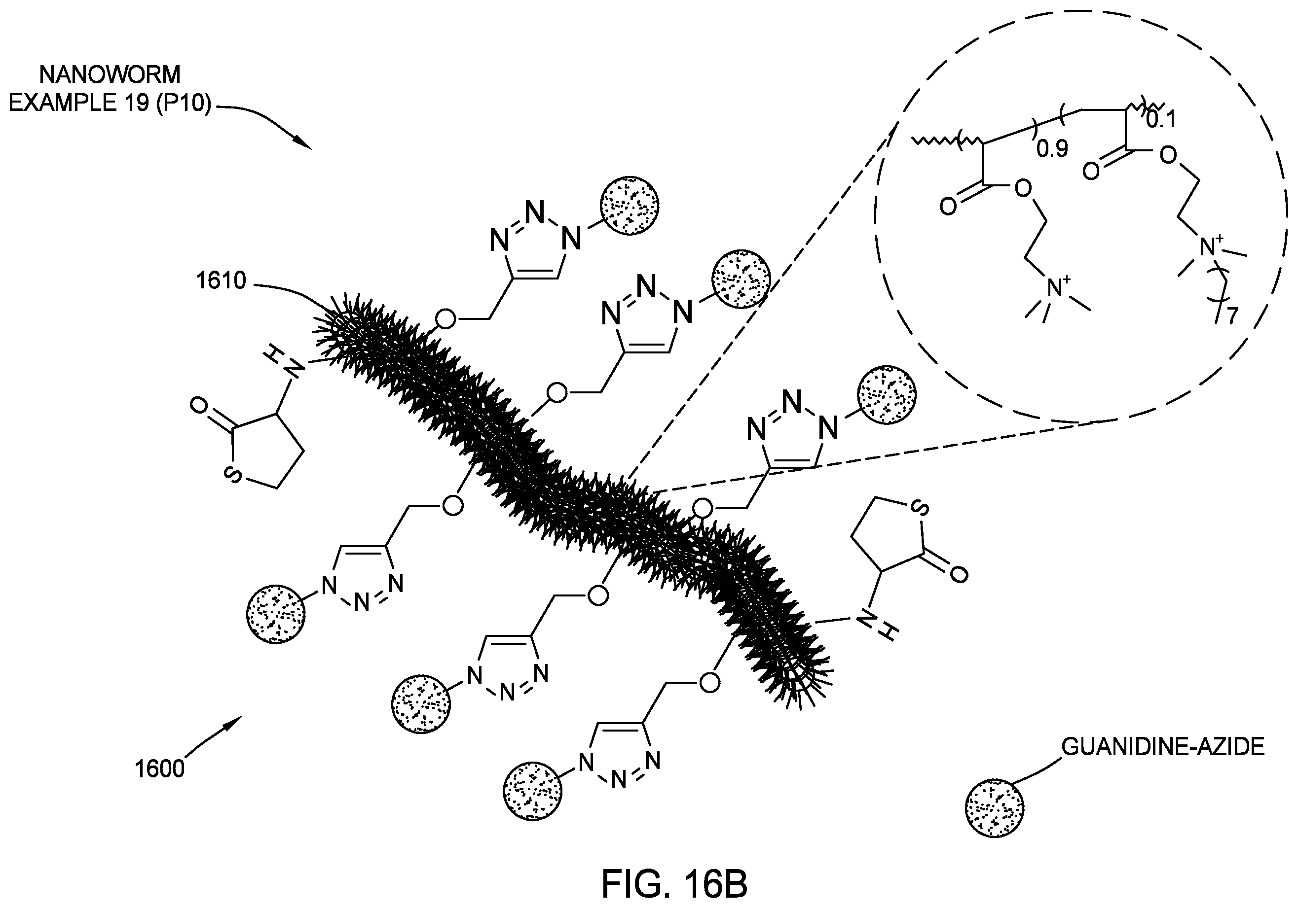 Patent US12611384 Figure 20 – Antimicrobial nanoworms