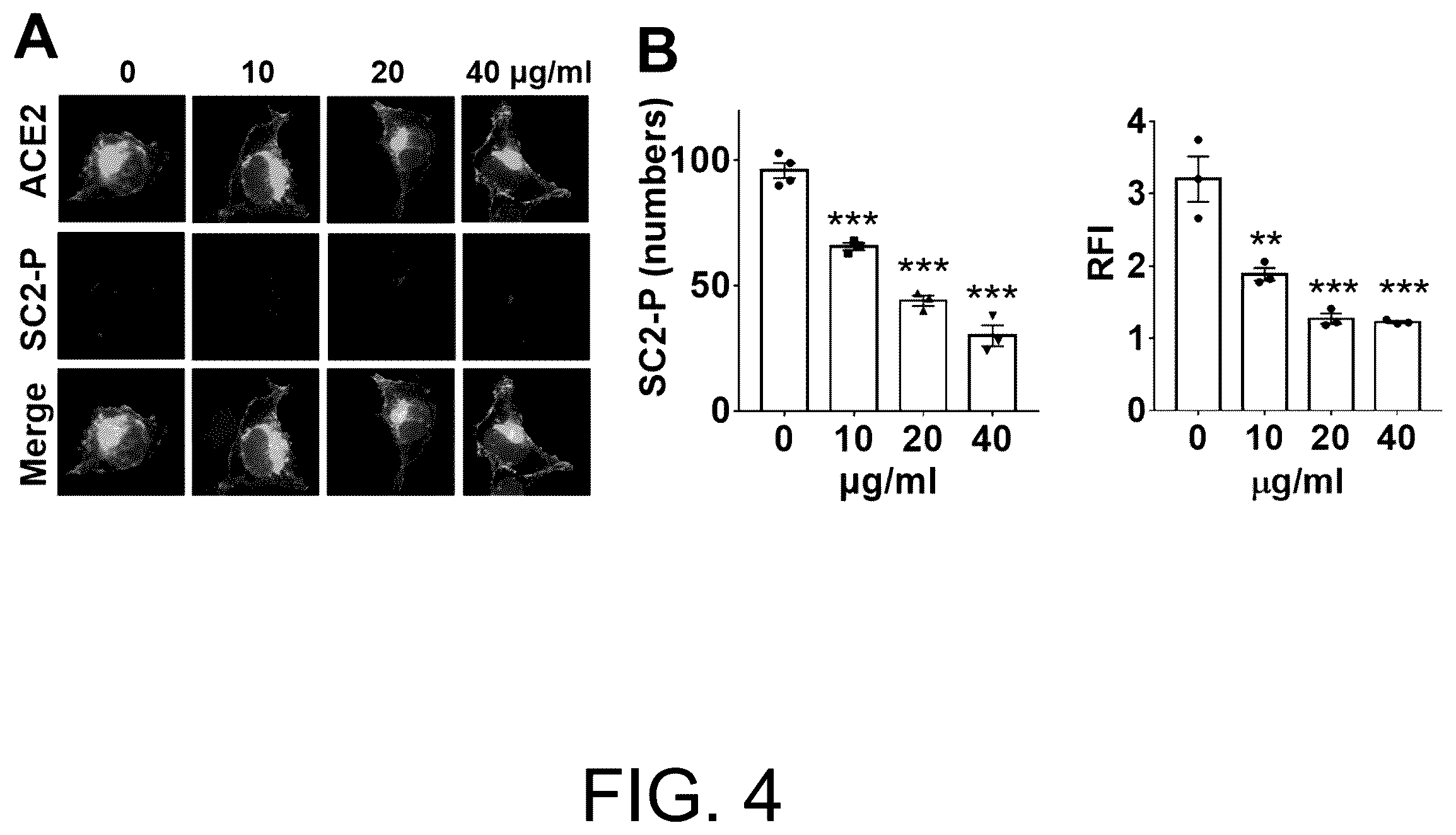 Patent US12611385 Figure 3 – Use of two-dimensional nanomaterial in inhibition of coronavirus