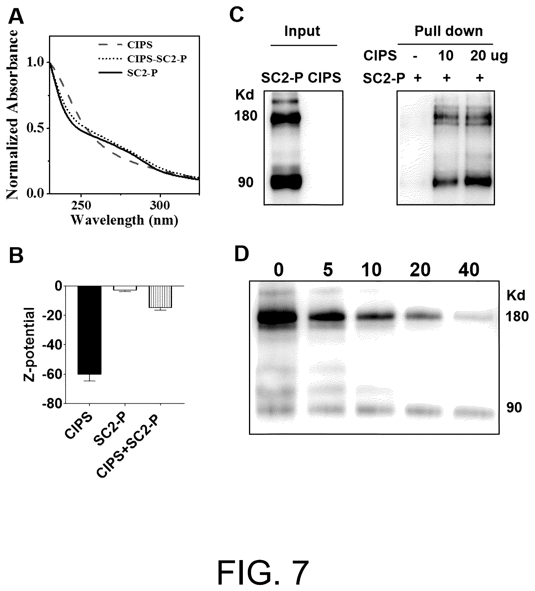 Patent US12611385 Figure 6 – Use of two-dimensional nanomaterial in inhibition of coronavirus