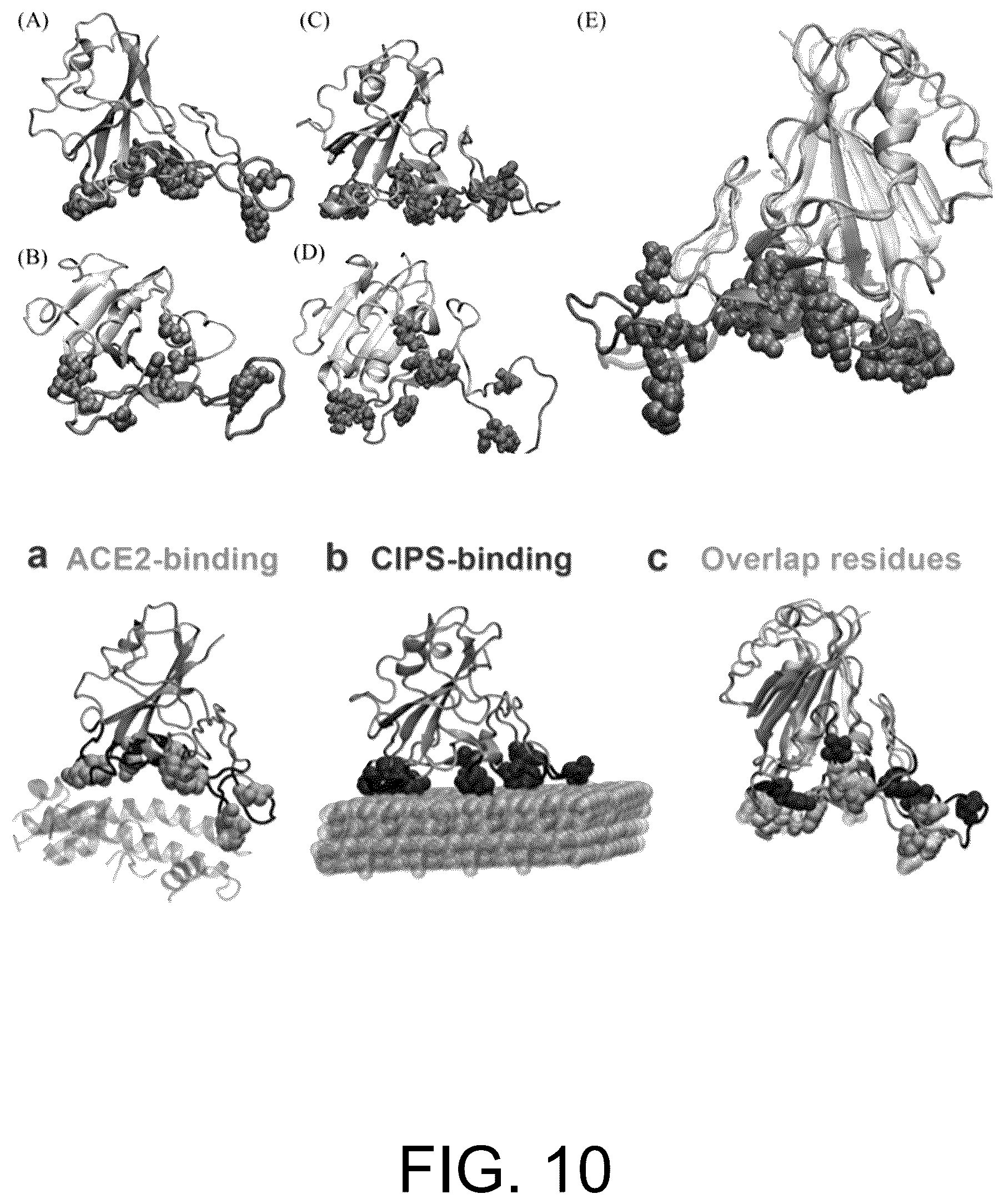 Patent US12611385 Figure 9 – Use of two-dimensional nanomaterial in inhibition of coronavirus