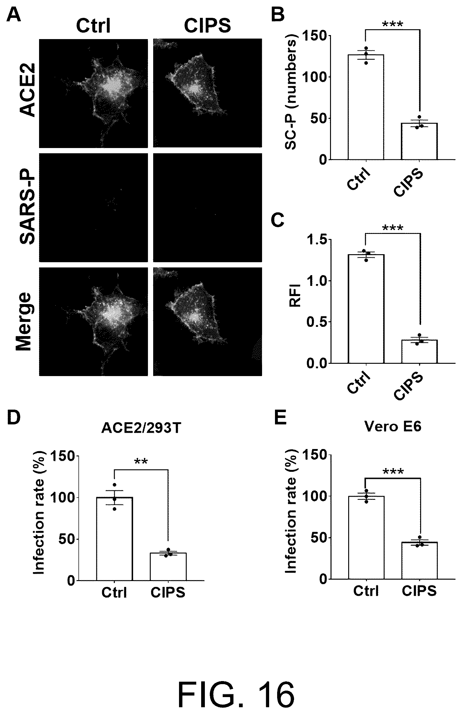 Patent US12611385 Figure 13 – Use of two-dimensional nanomaterial in inhibition of coronavirus