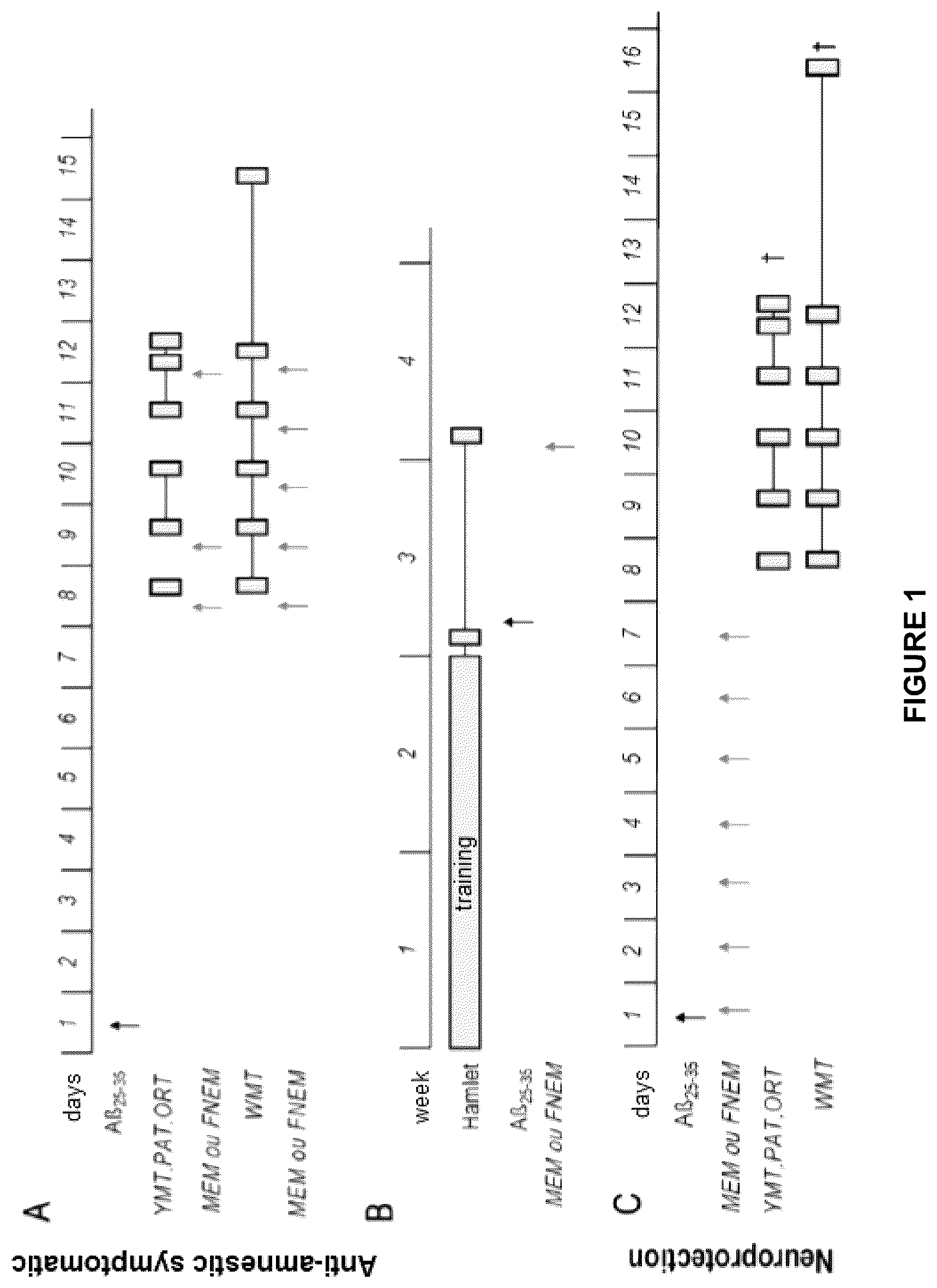 Patent US12611387 Figure 1 – Compound and composition for inducing neuroprotection