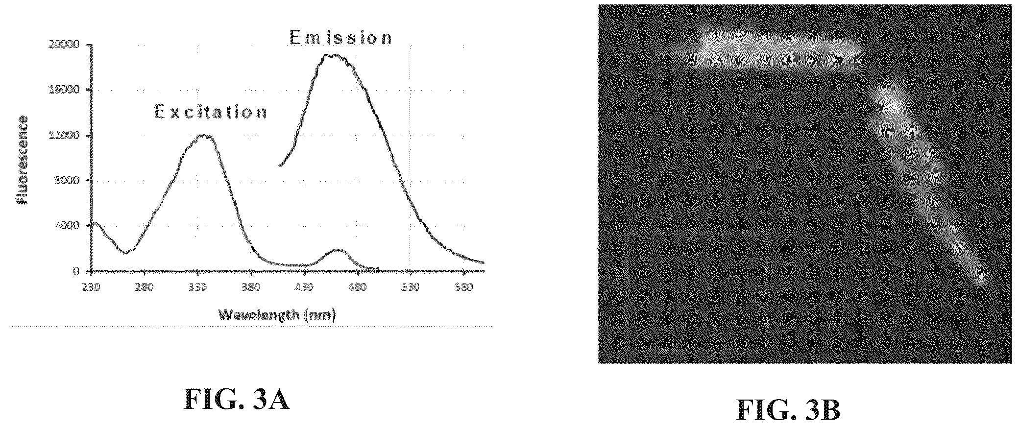 Patent US12611392 Figure 3 – Mitochondria-targeting antioxidants