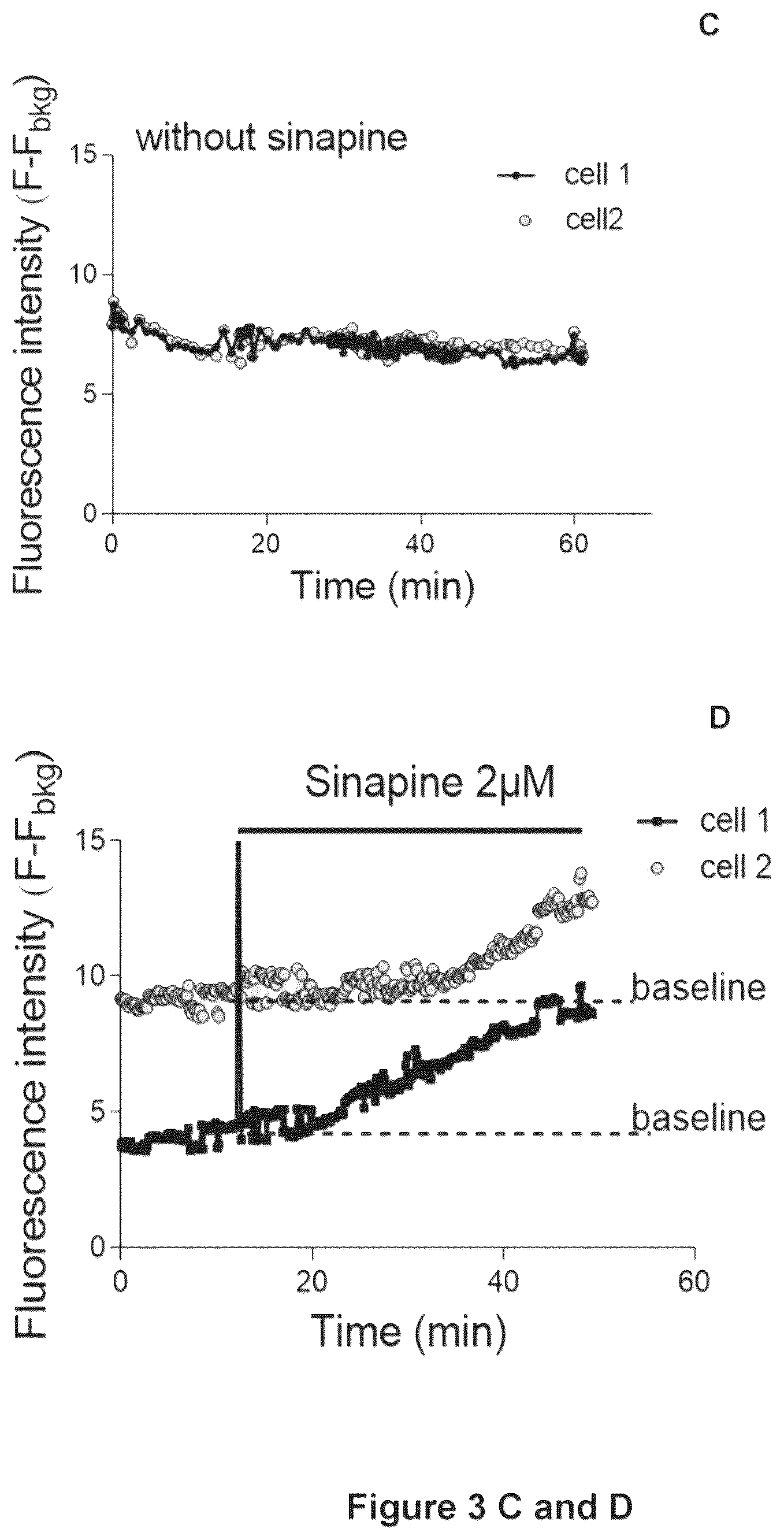Patent US12611392 Figure 4 – Mitochondria-targeting antioxidants