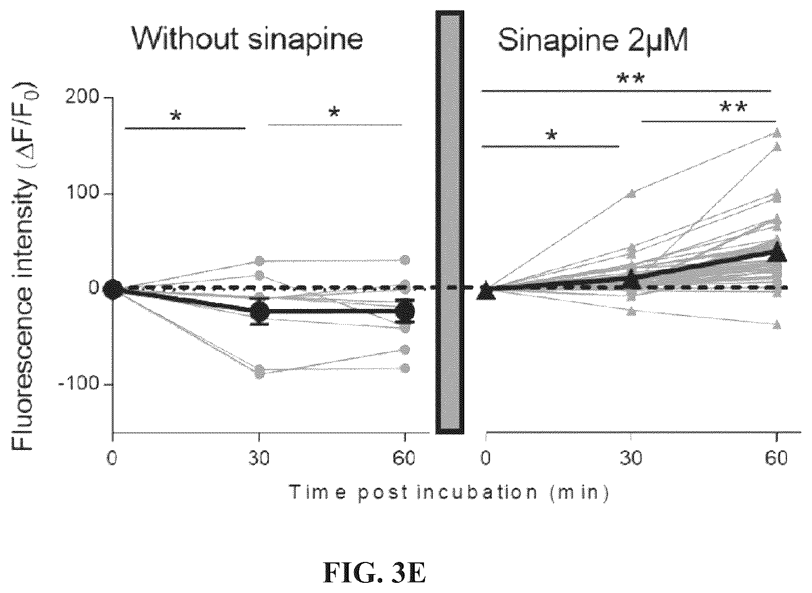 Patent US12611392 Figure 5 – Mitochondria-targeting antioxidants
