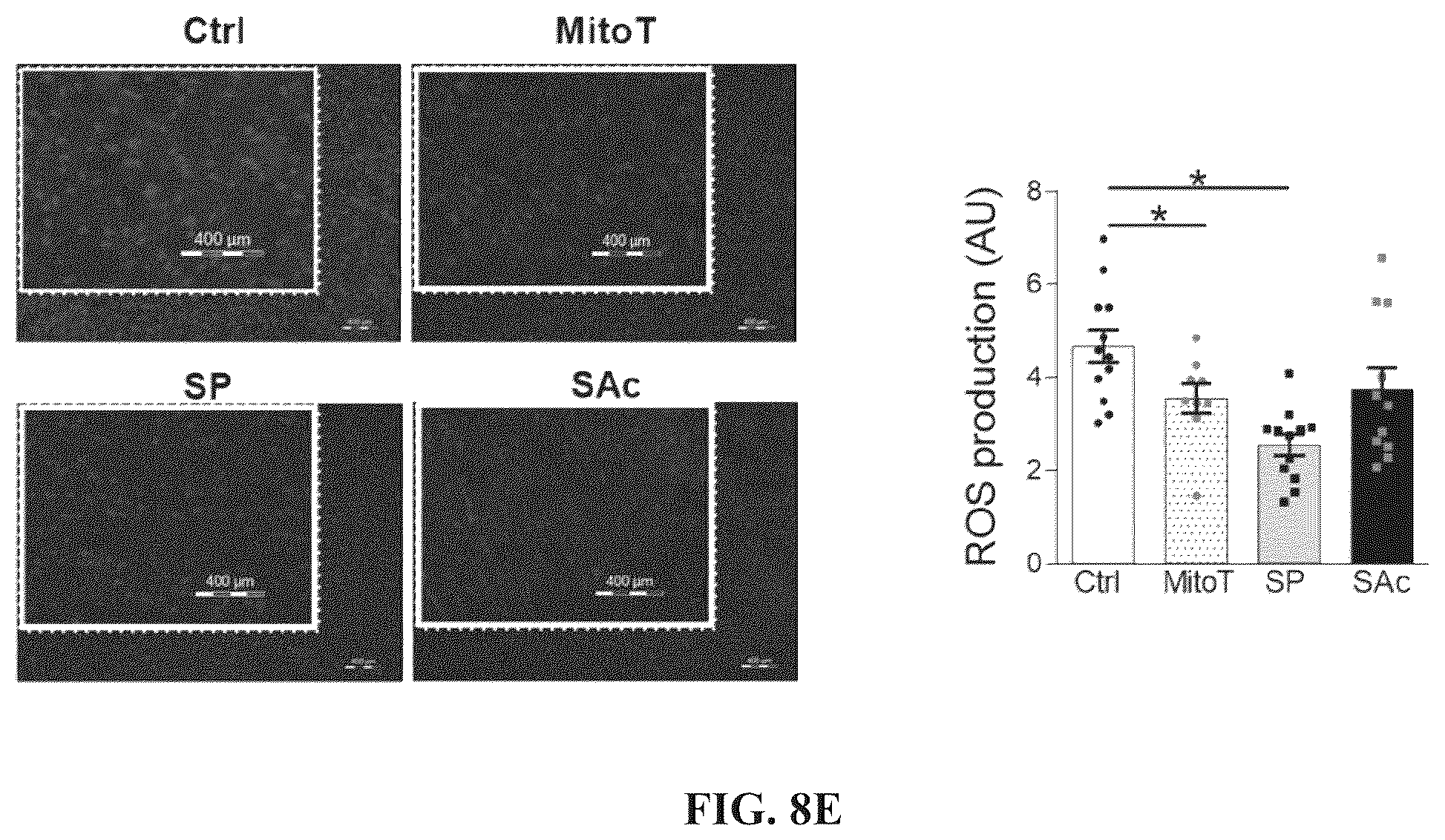 Patent US12611392 Figure 13 – Mitochondria-targeting antioxidants