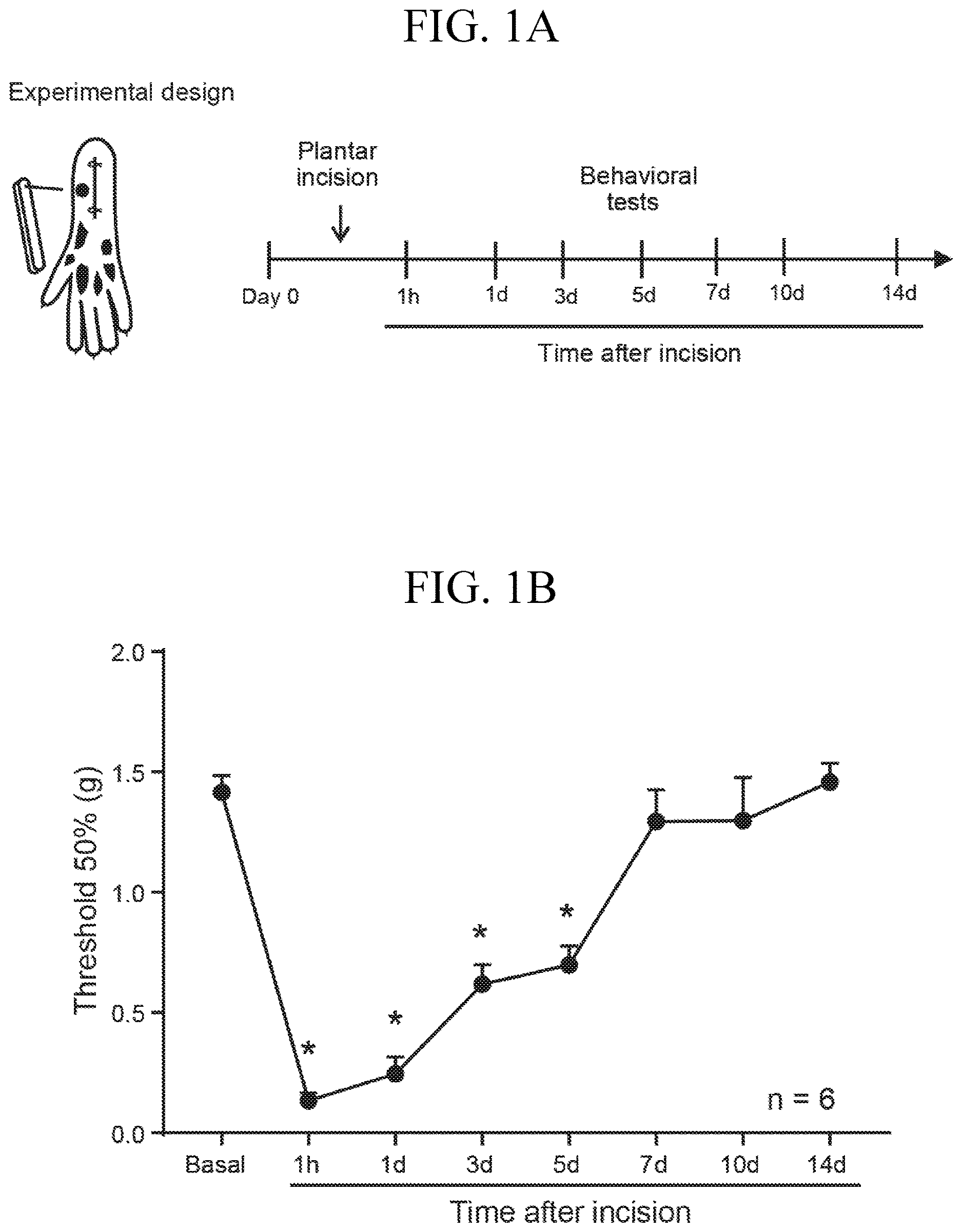 Patent US12611393 — Treatment of pain by targeting NR4A1 — Figure 1