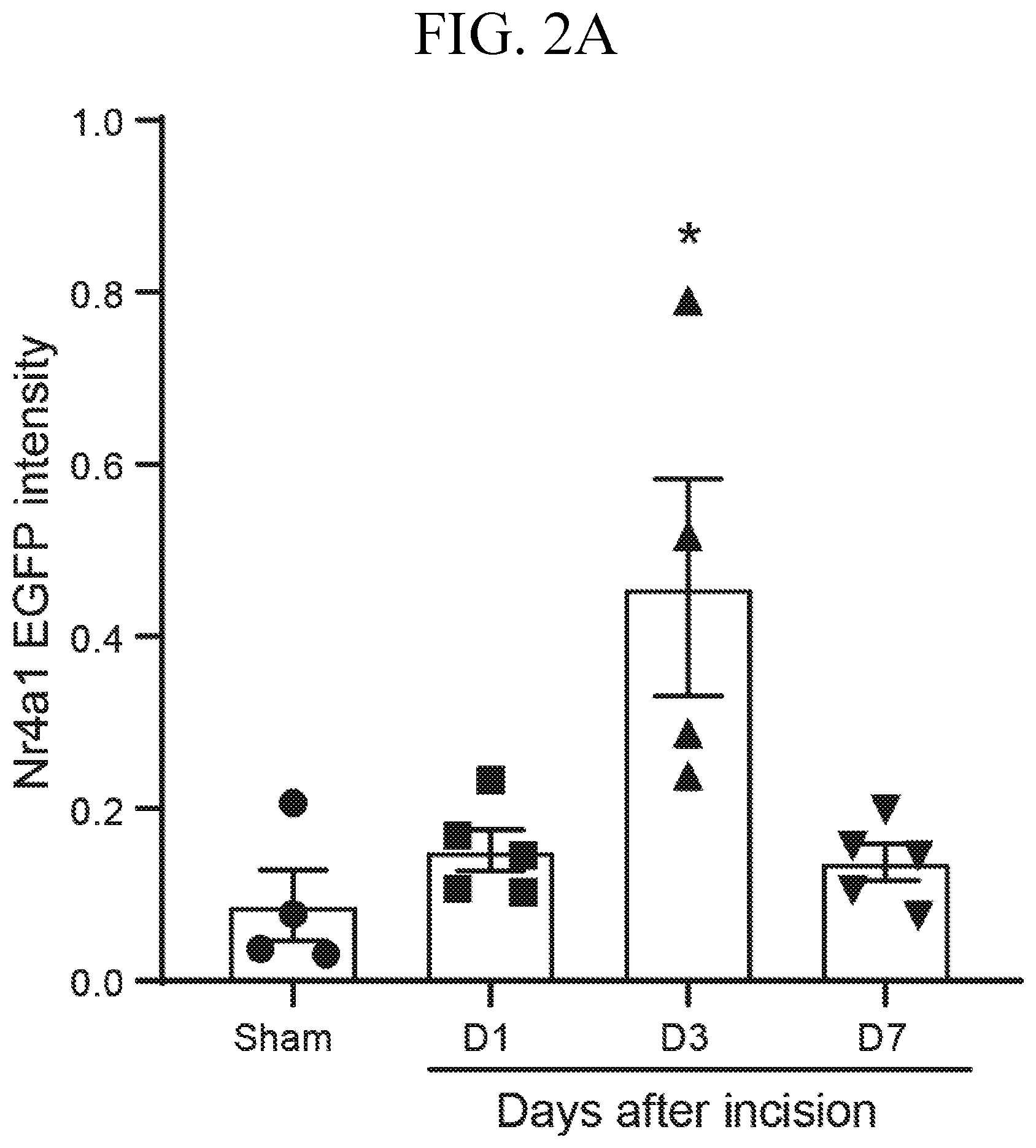 Patent US12611393 Figure 3 – Treatment of pain by targeting NR4A1