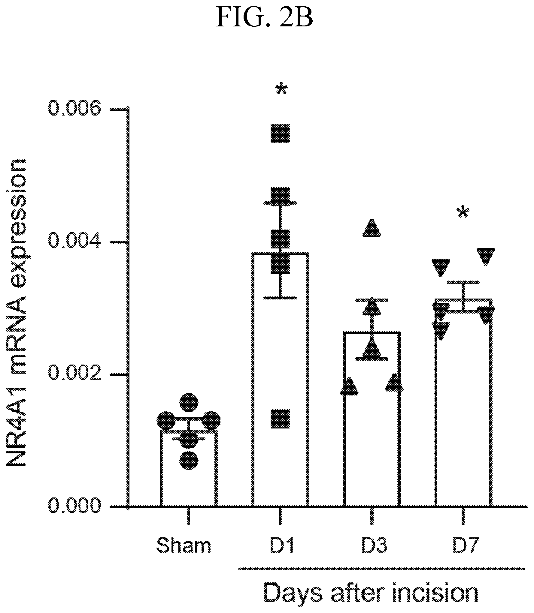 Patent US12611393 Figure 4 – Treatment of pain by targeting NR4A1