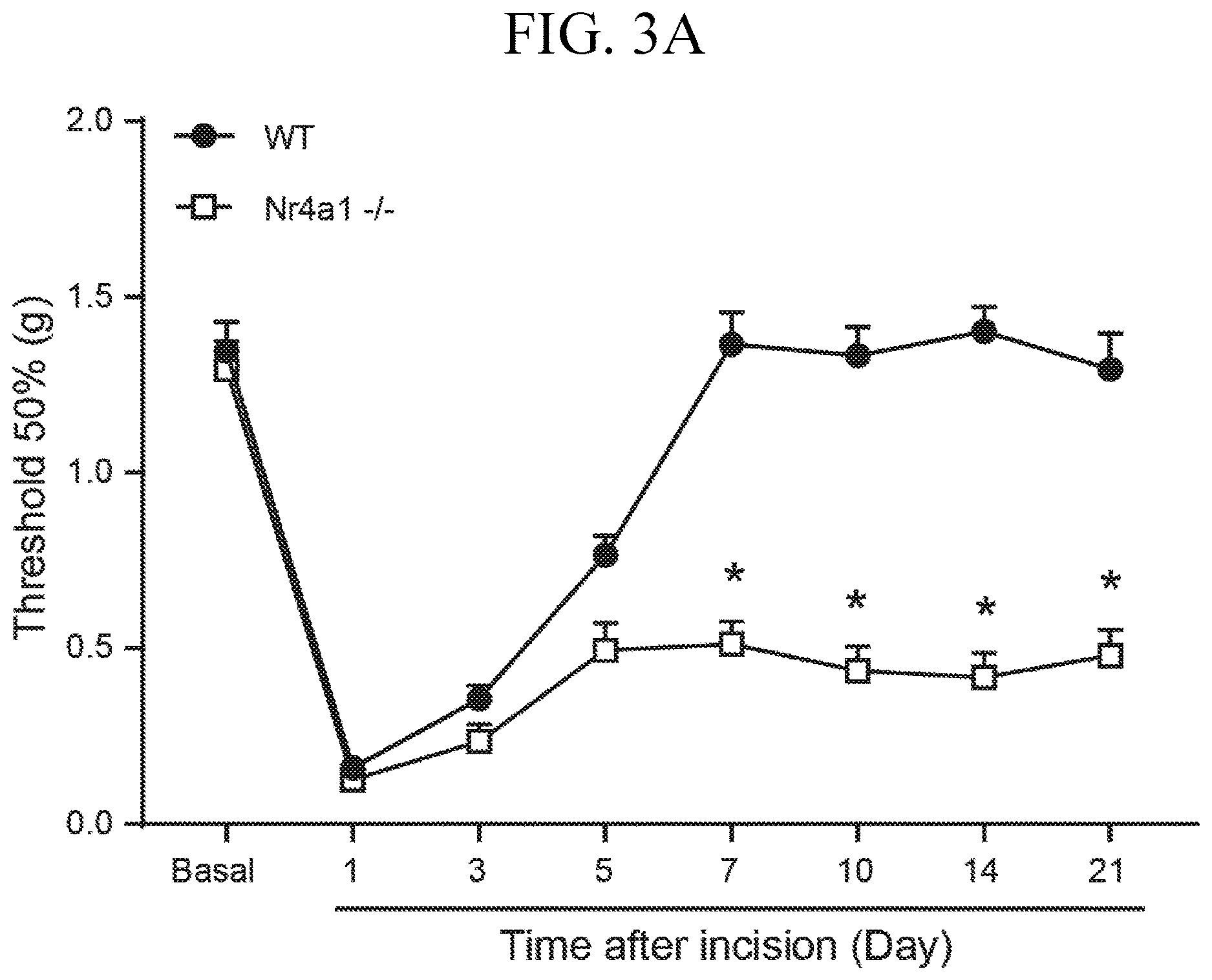 Patent US12611393 Figure 5 – Treatment of pain by targeting NR4A1