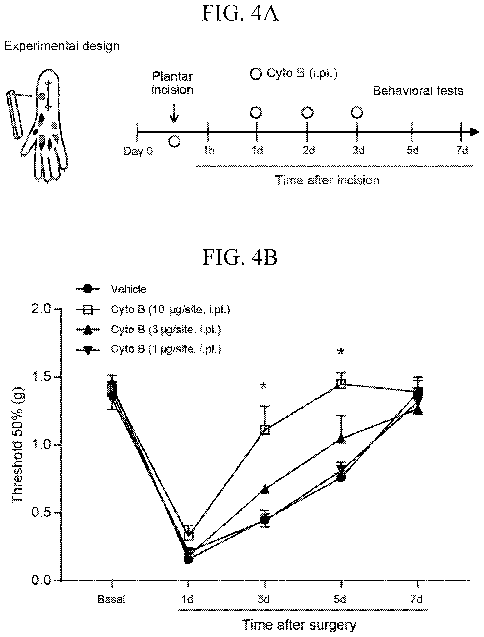 Patent US12611393 Figure 7 – Treatment of pain by targeting NR4A1