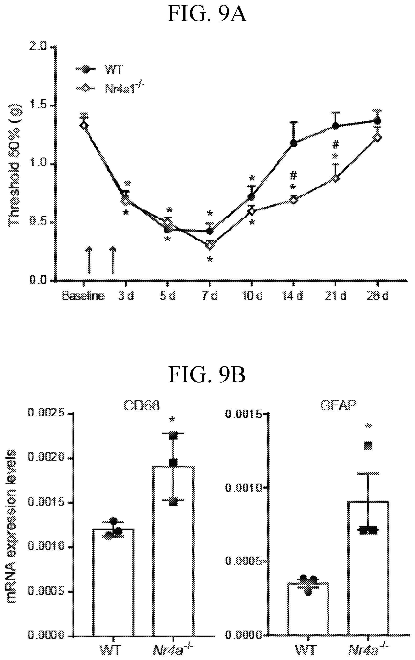 Patent US12611393 Figure 20 – Treatment of pain by targeting NR4A1