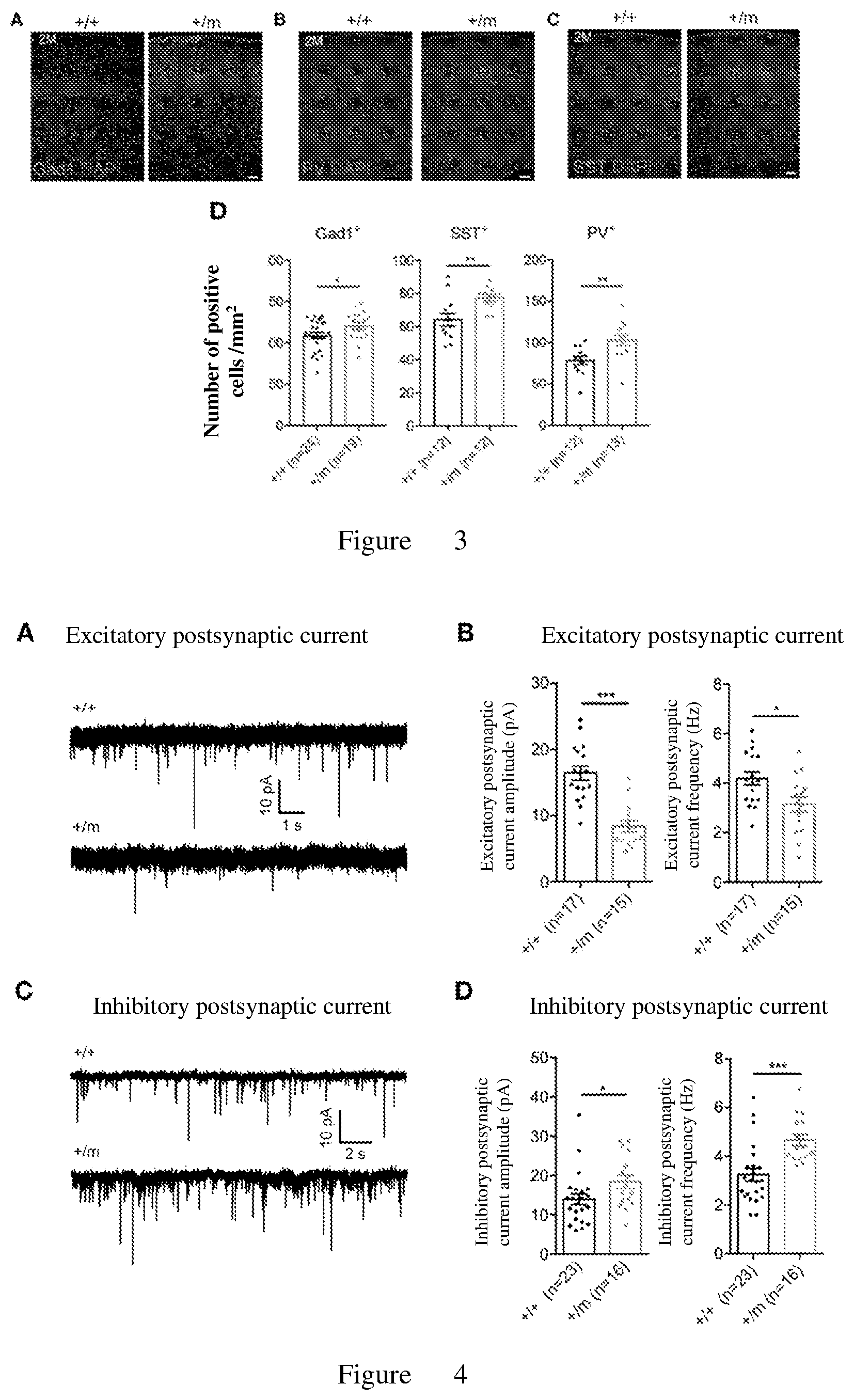 Patent US12611394 Figure 2 – Use of ginkgolide a in the treatment of autism